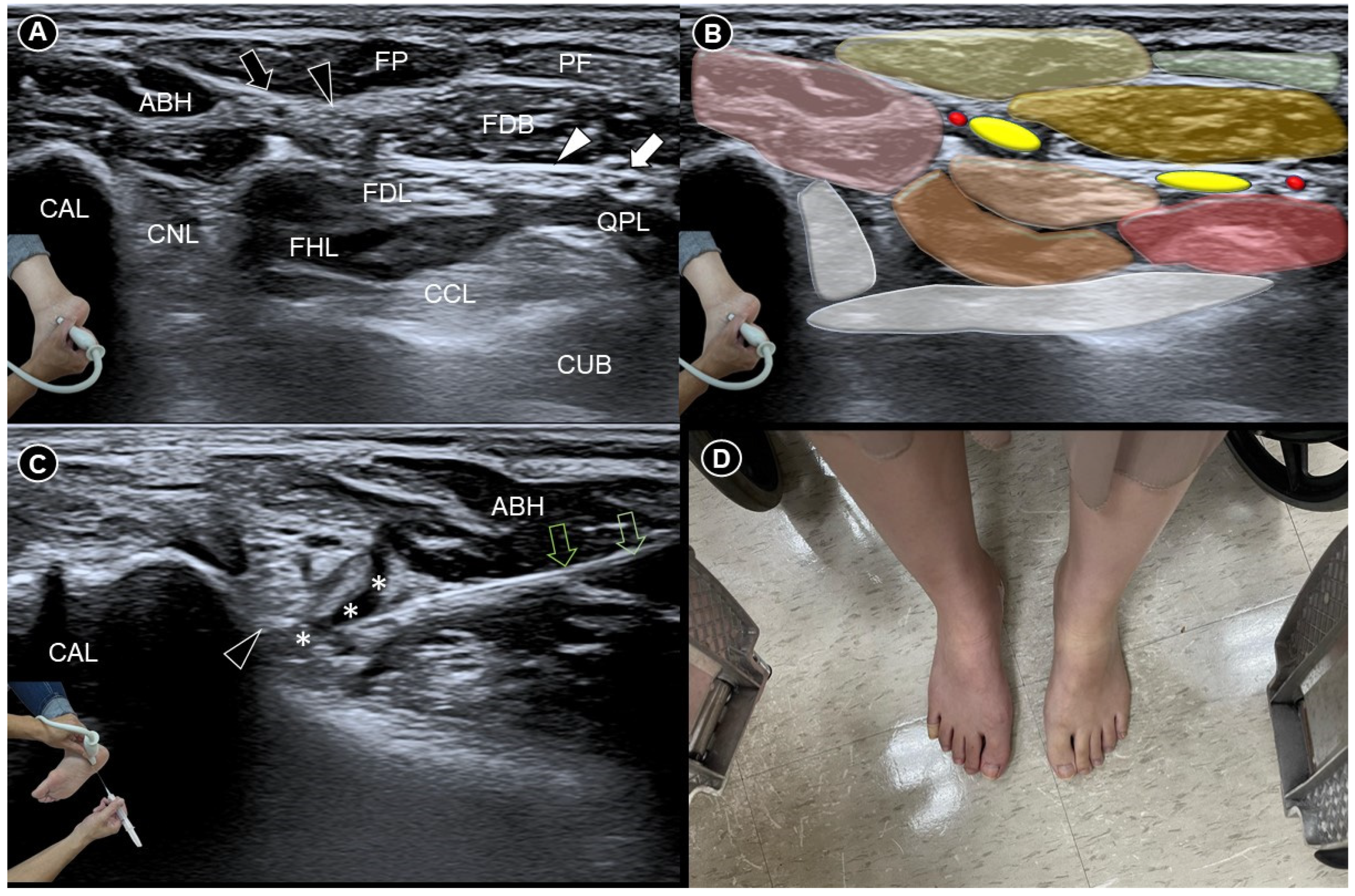 Diagnostics 14 02266 g001