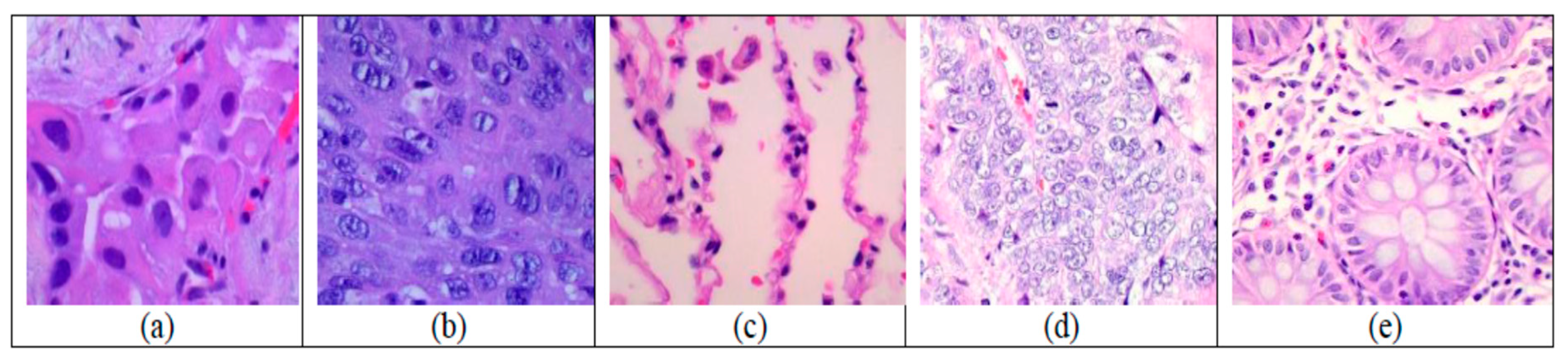 Diagnostics 14 02274 g001