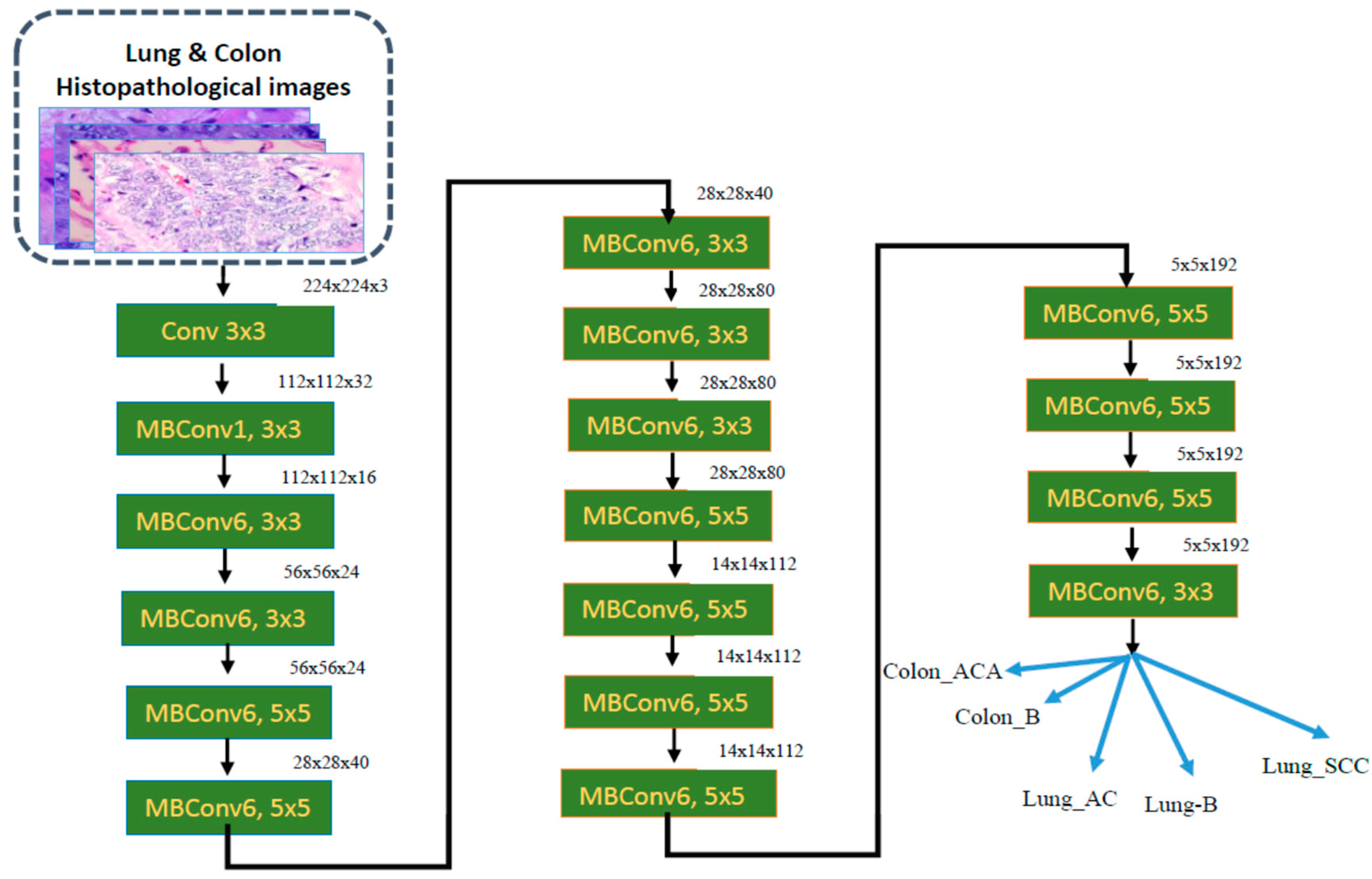 Diagnostics 14 02274 g006