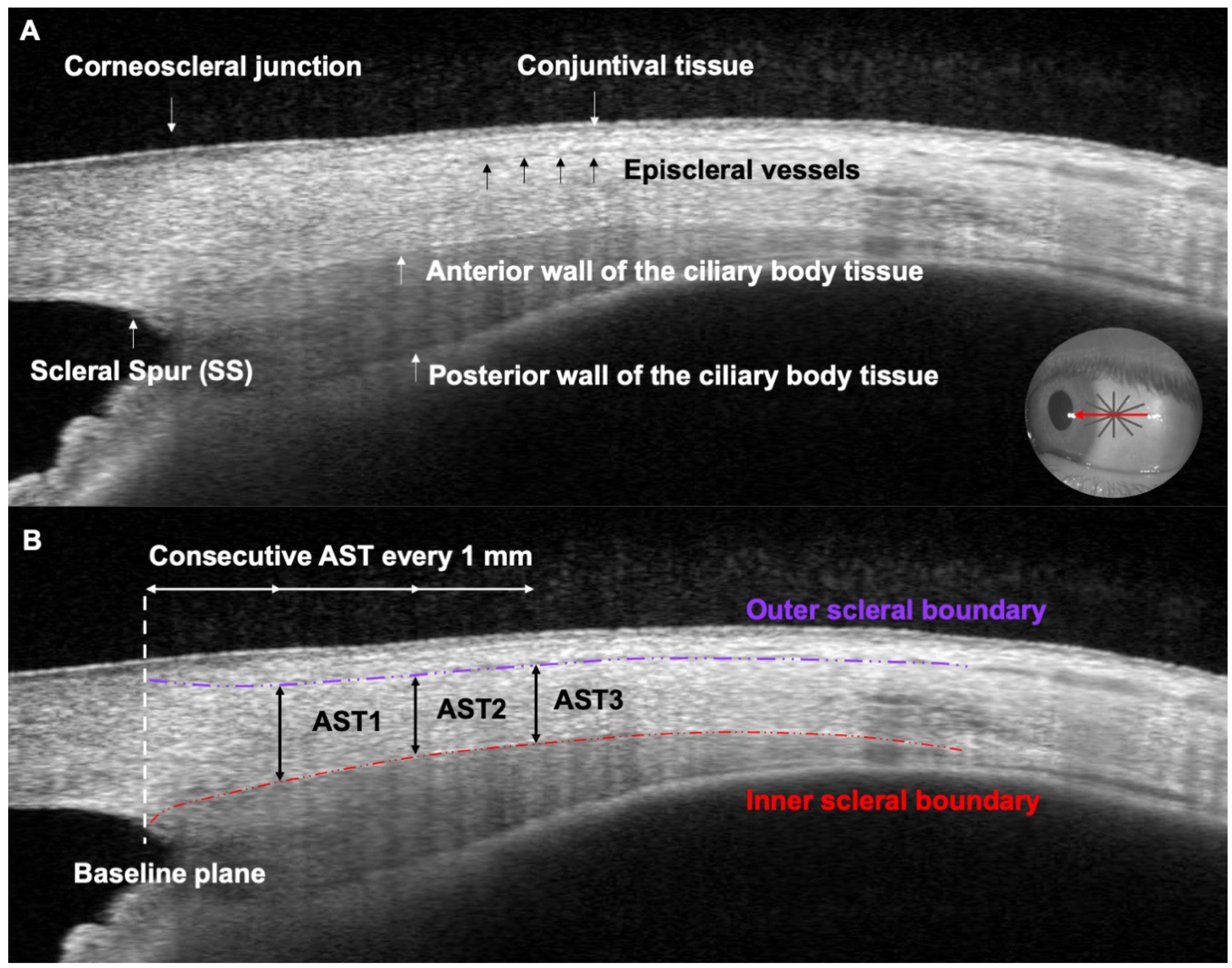Diagnostics 14 02280 g001