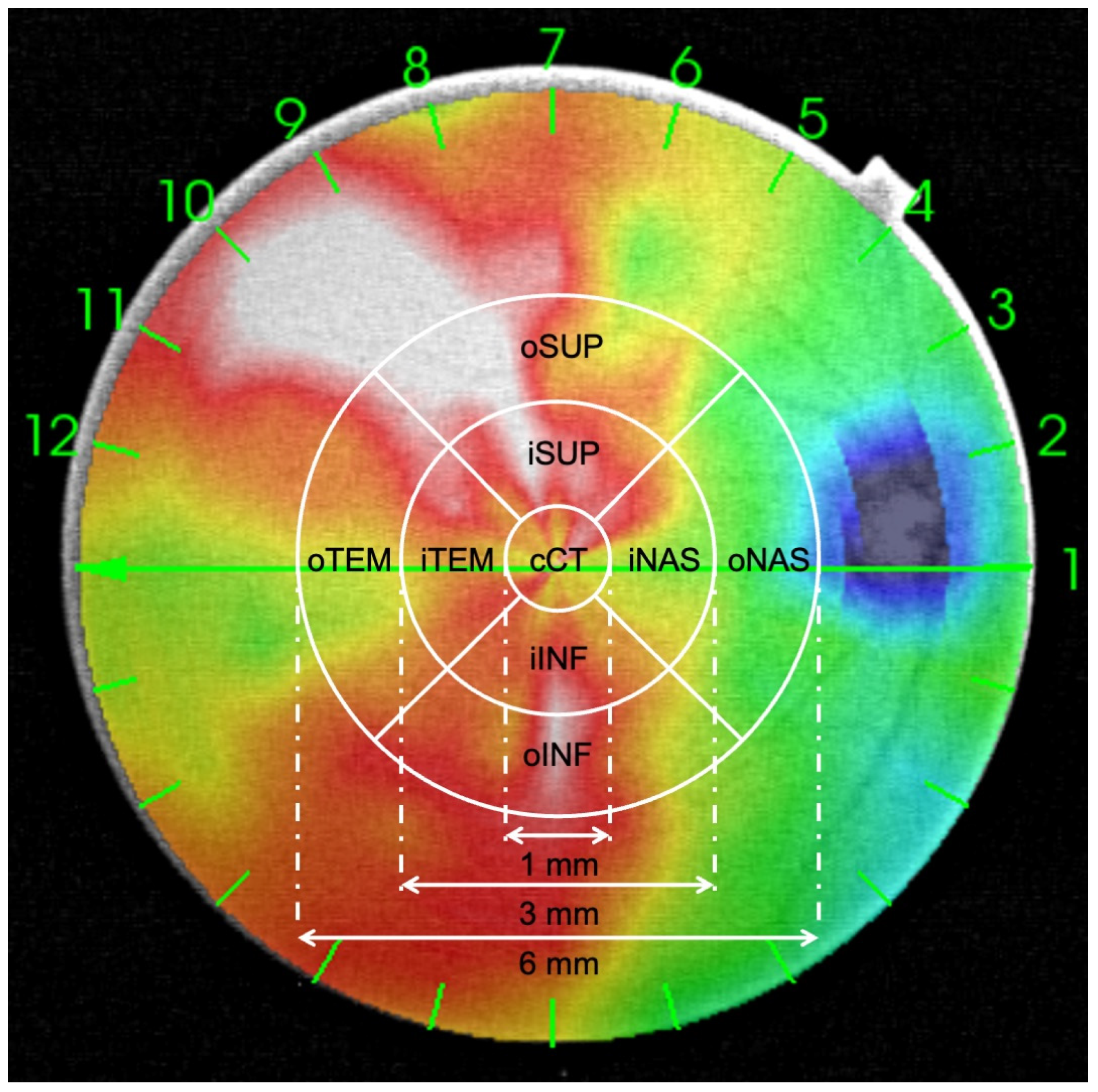 Diagnostics 14 02280 g002
