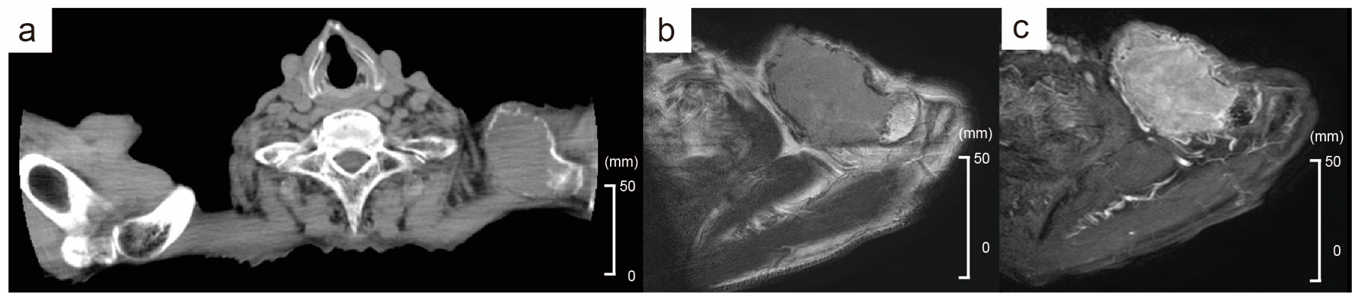 Diagnostics 14 02285 g001