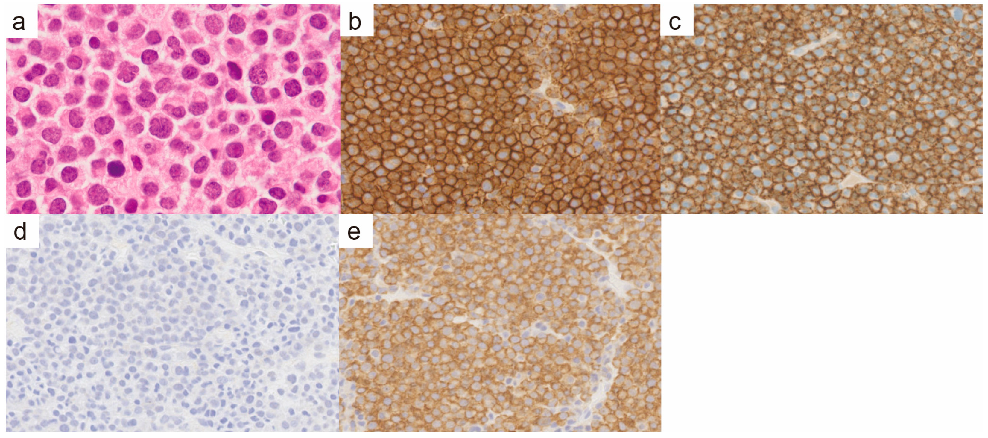 Diagnostics 14 02285 g002