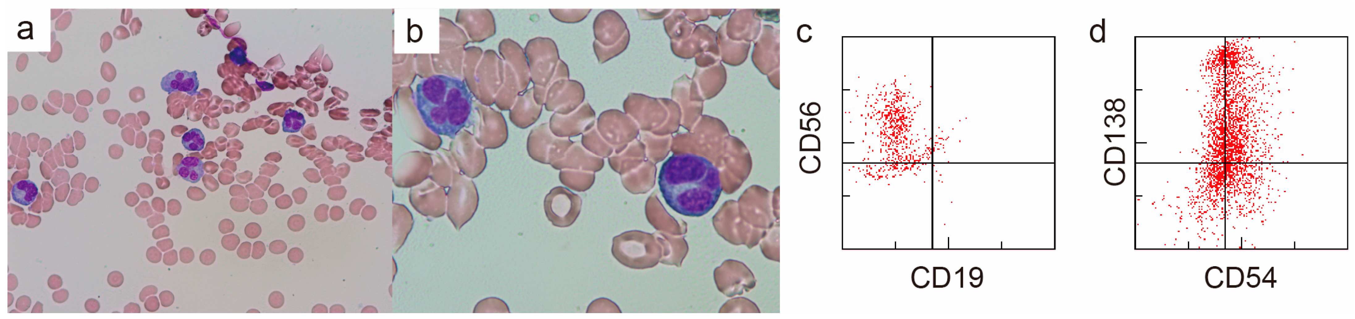 Diagnostics 14 02285 g003