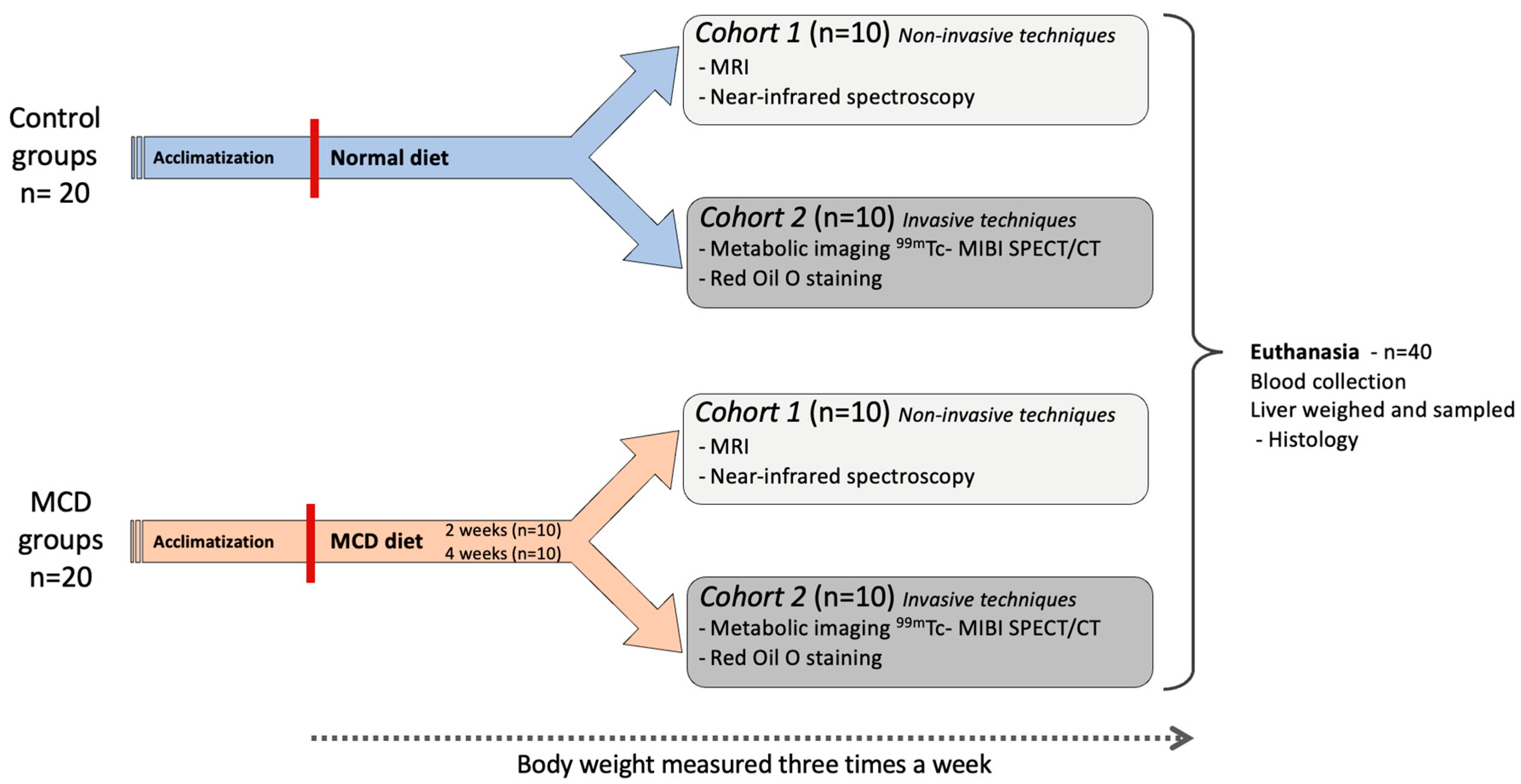 Diagnostics 14 02292 g001 Diagnostics 14 02292 g001