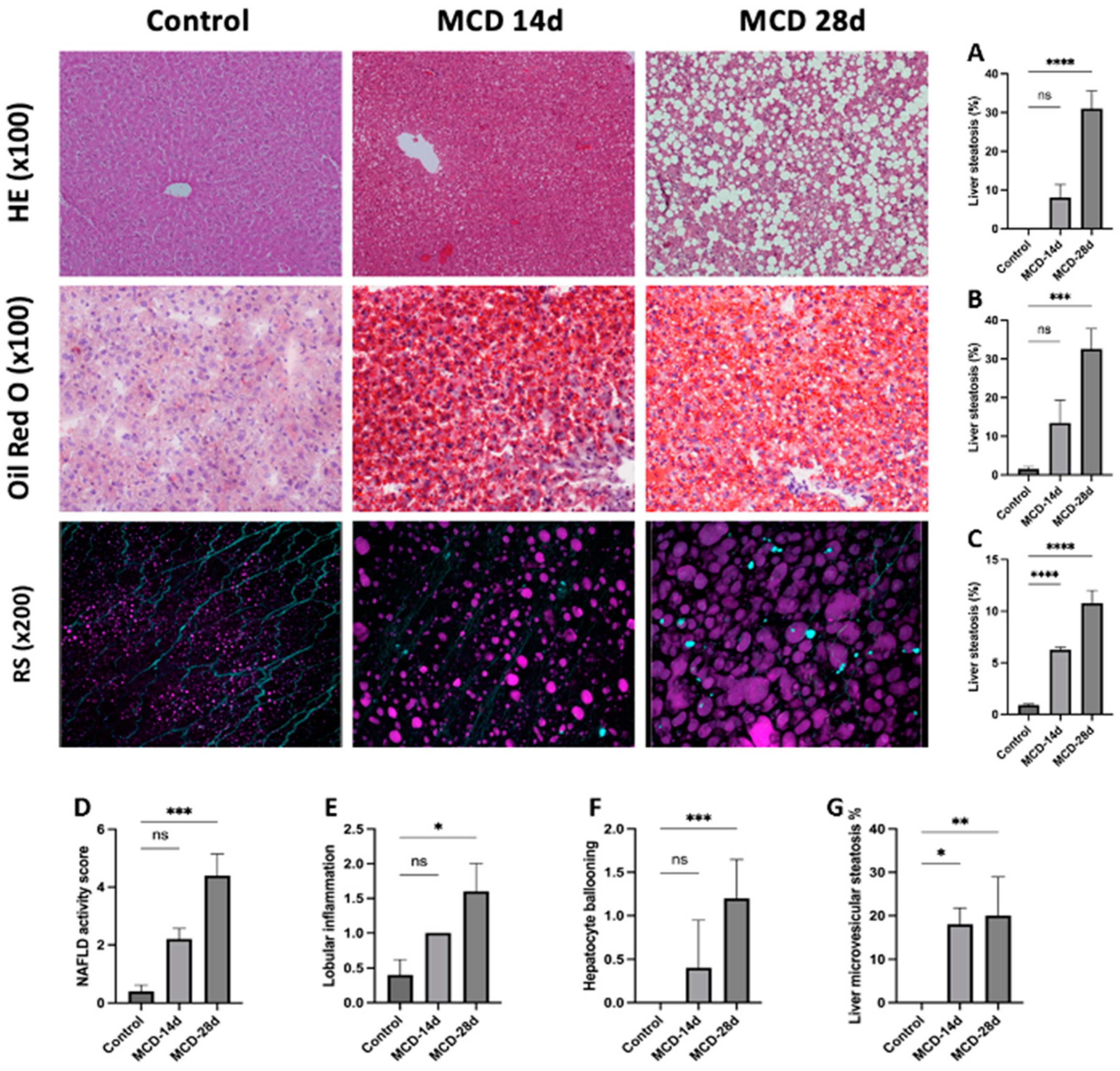 Diagnostics 14 02292 g003 Diagnostics 14 02292 g003