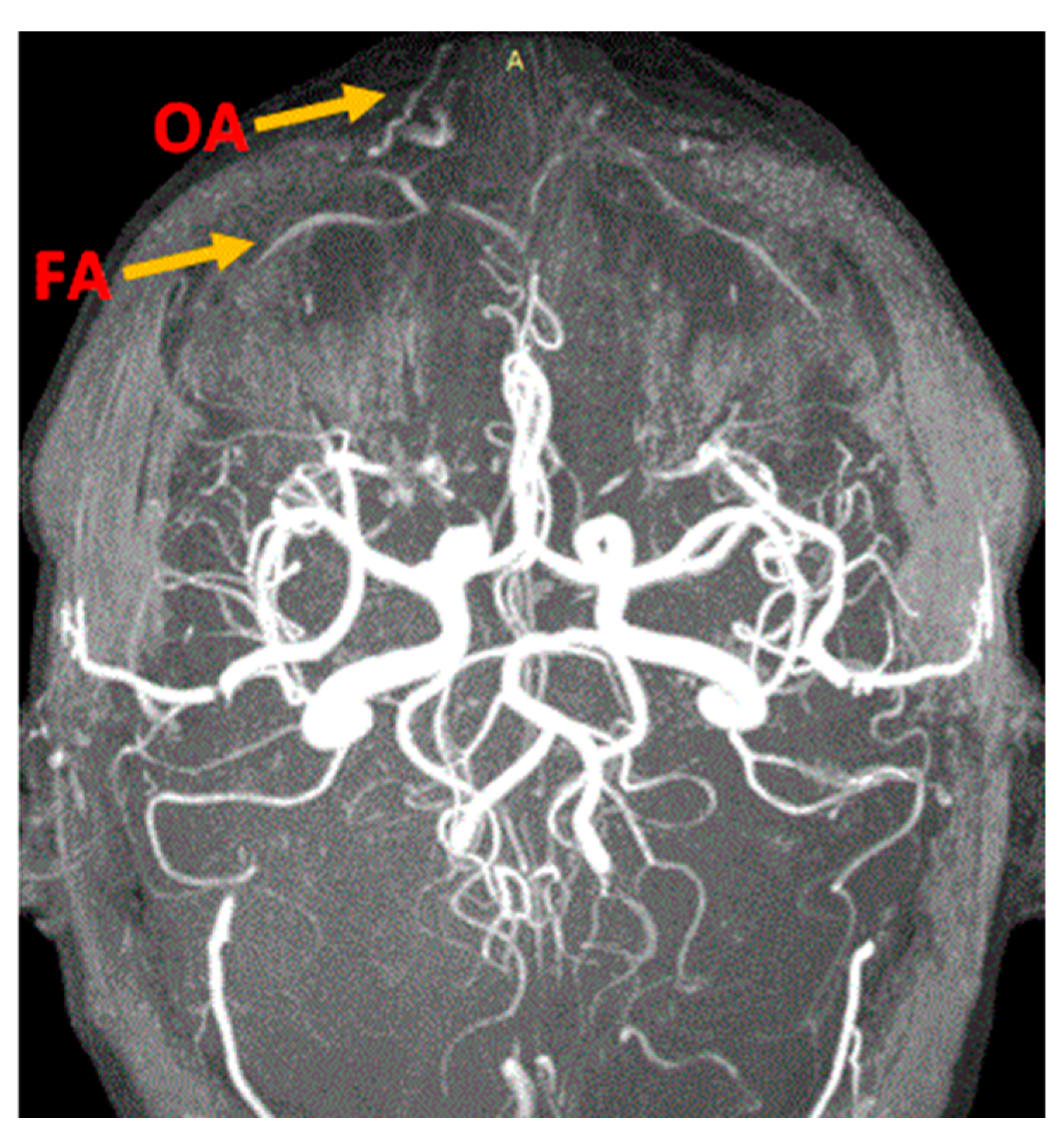 Diagnostics 14 02294 g001