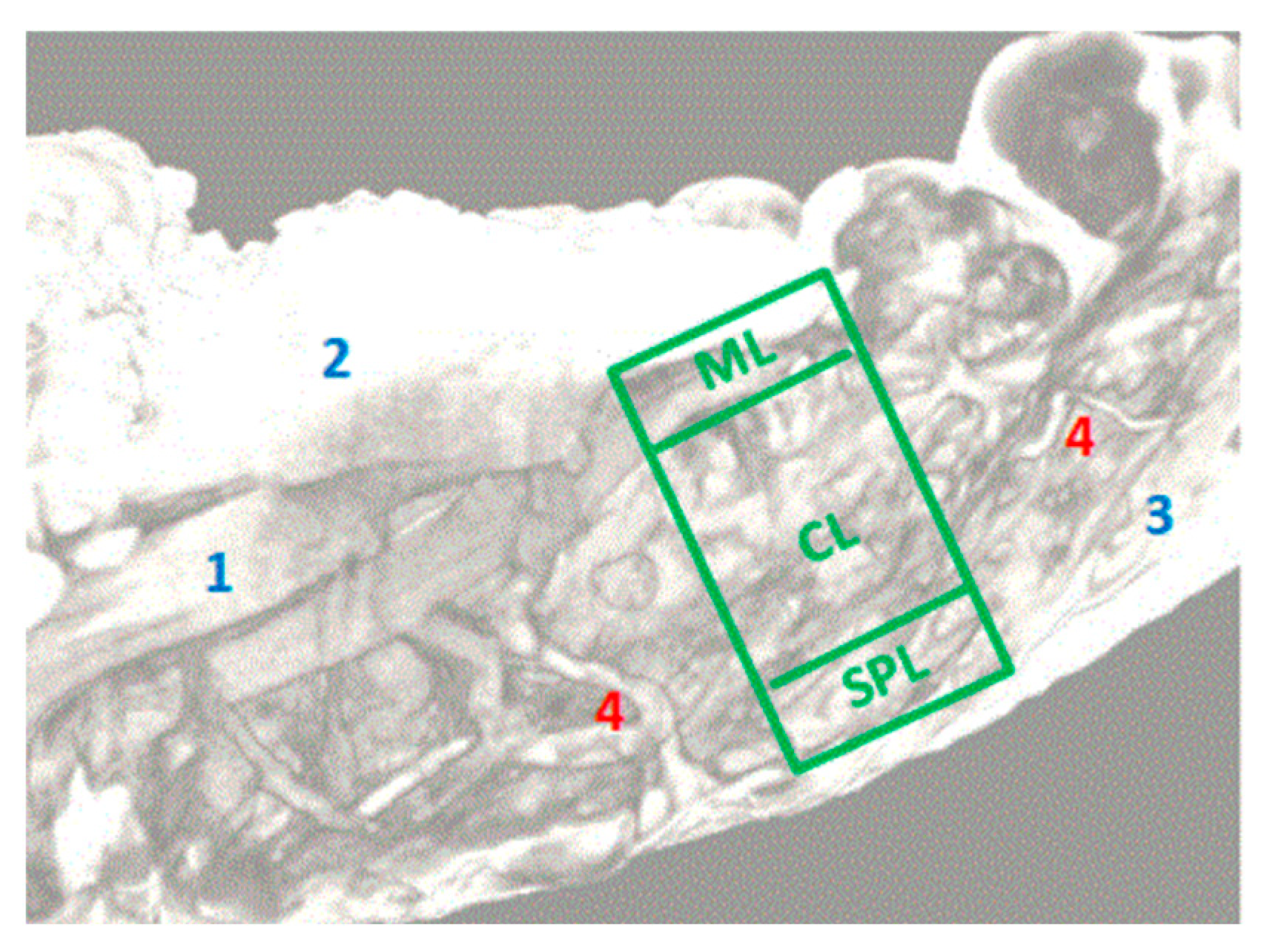 Diagnostics 14 02294 g006