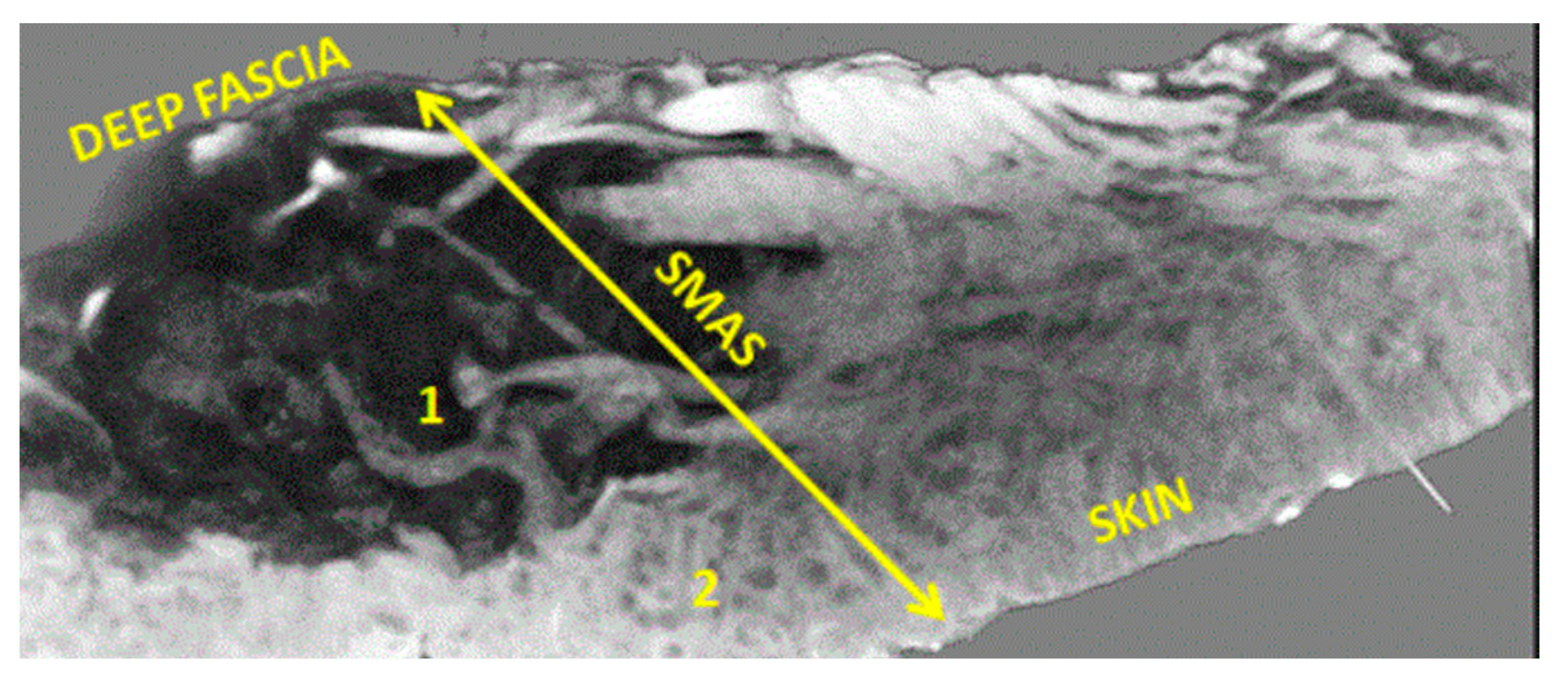 Diagnostics 14 02294 g007