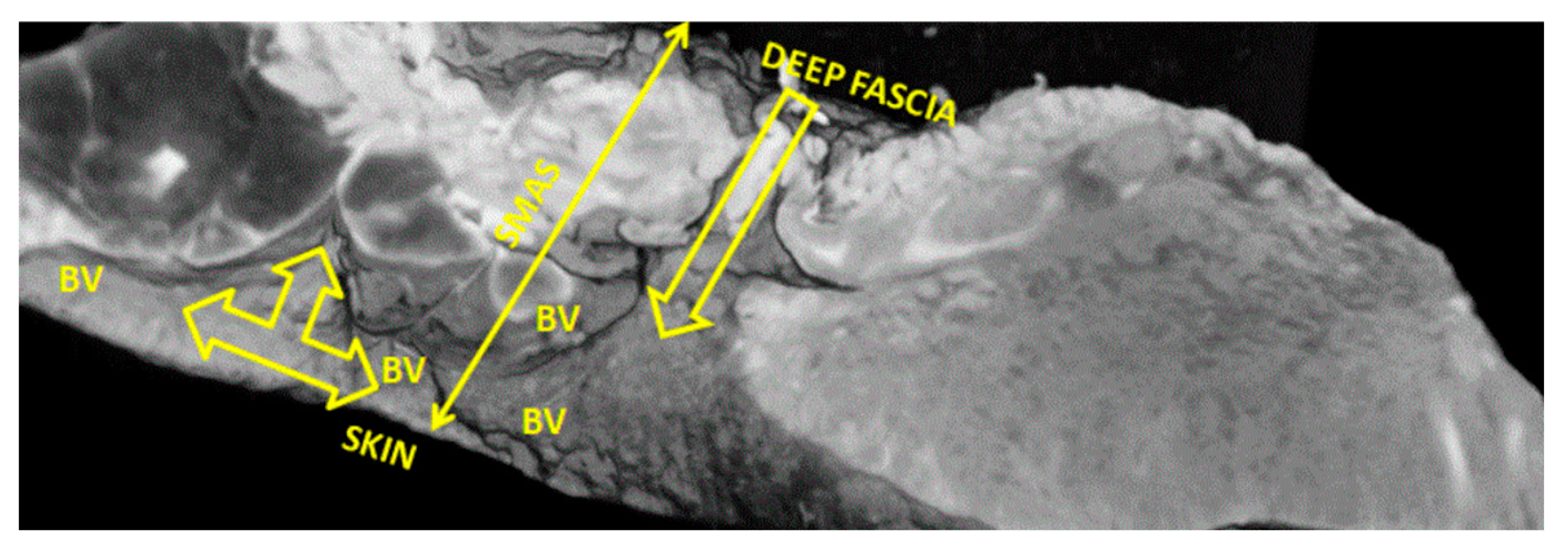 Diagnostics 14 02294 g008