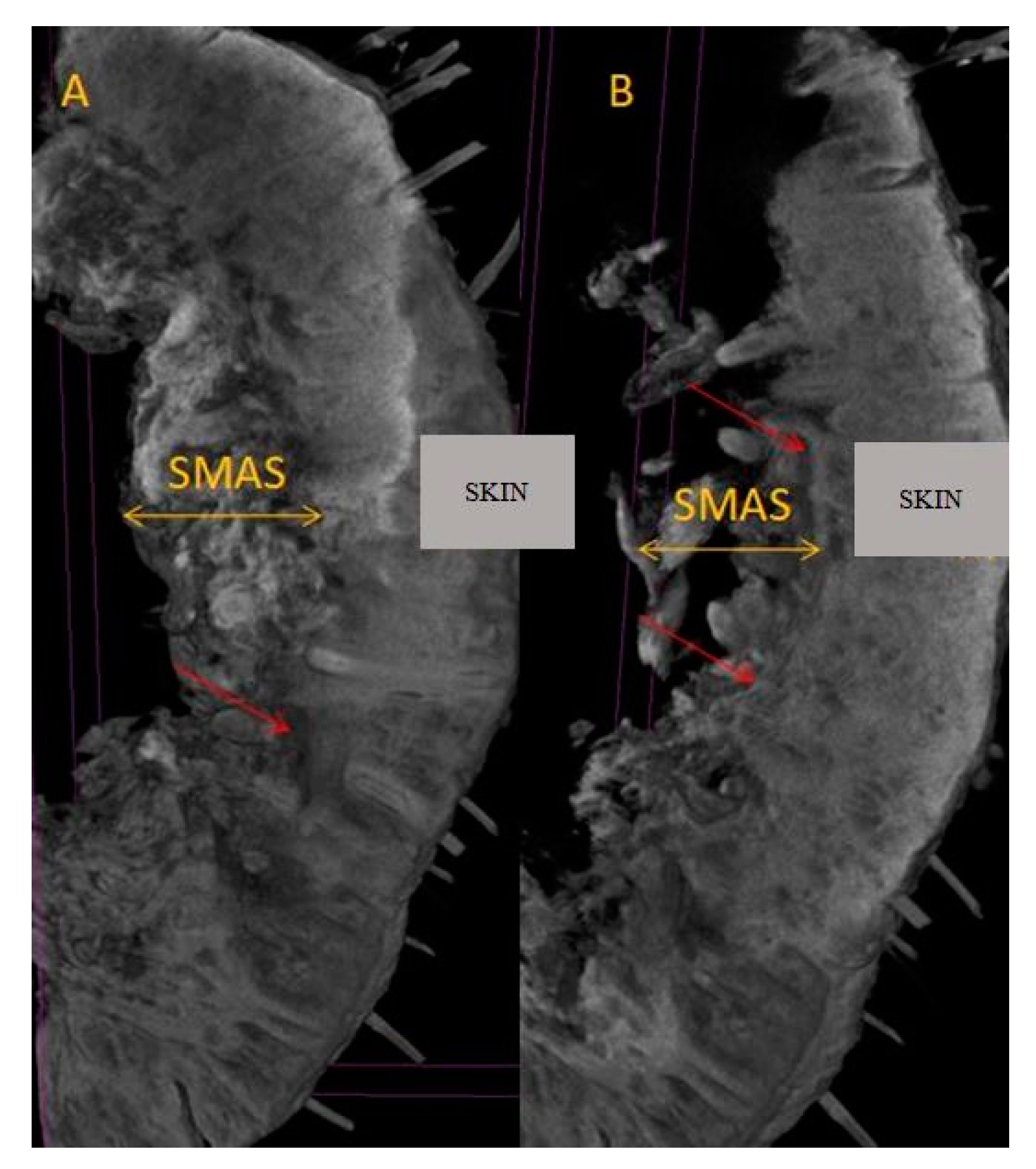 Diagnostics 14 02294 g009