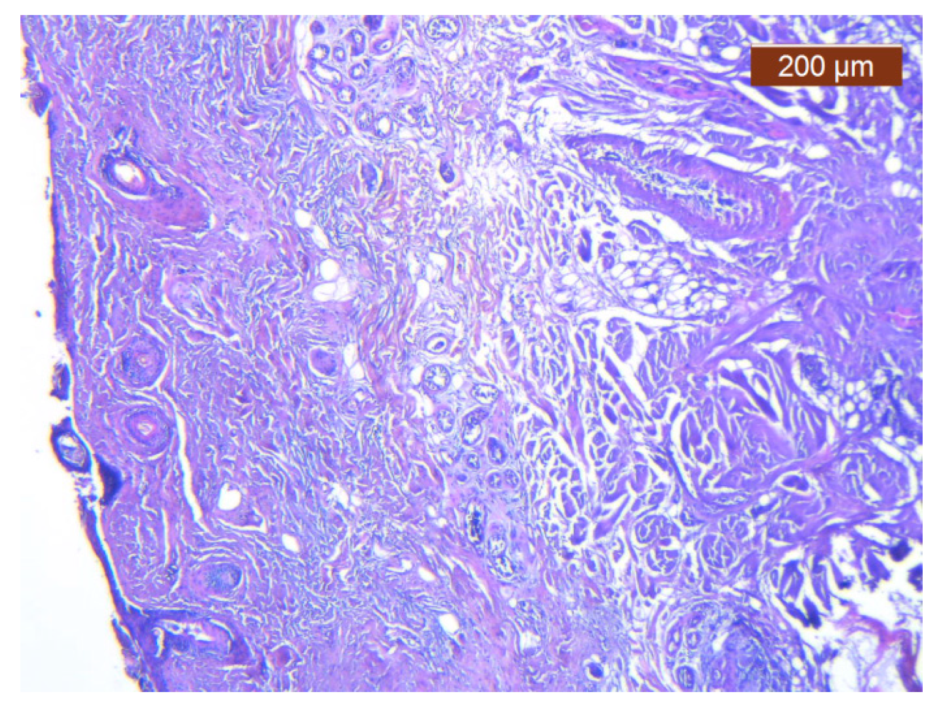 Diagnostics 14 02294 g010