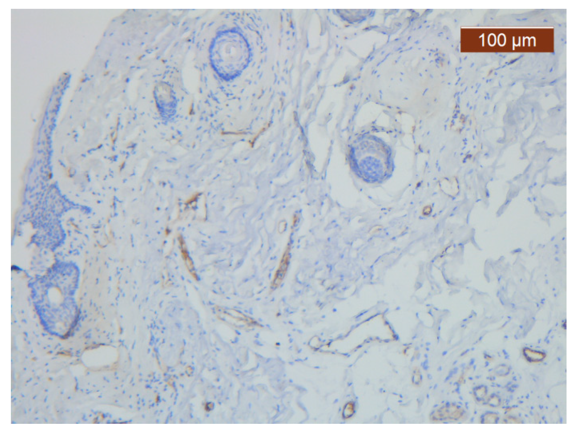 Diagnostics 14 02294 g012