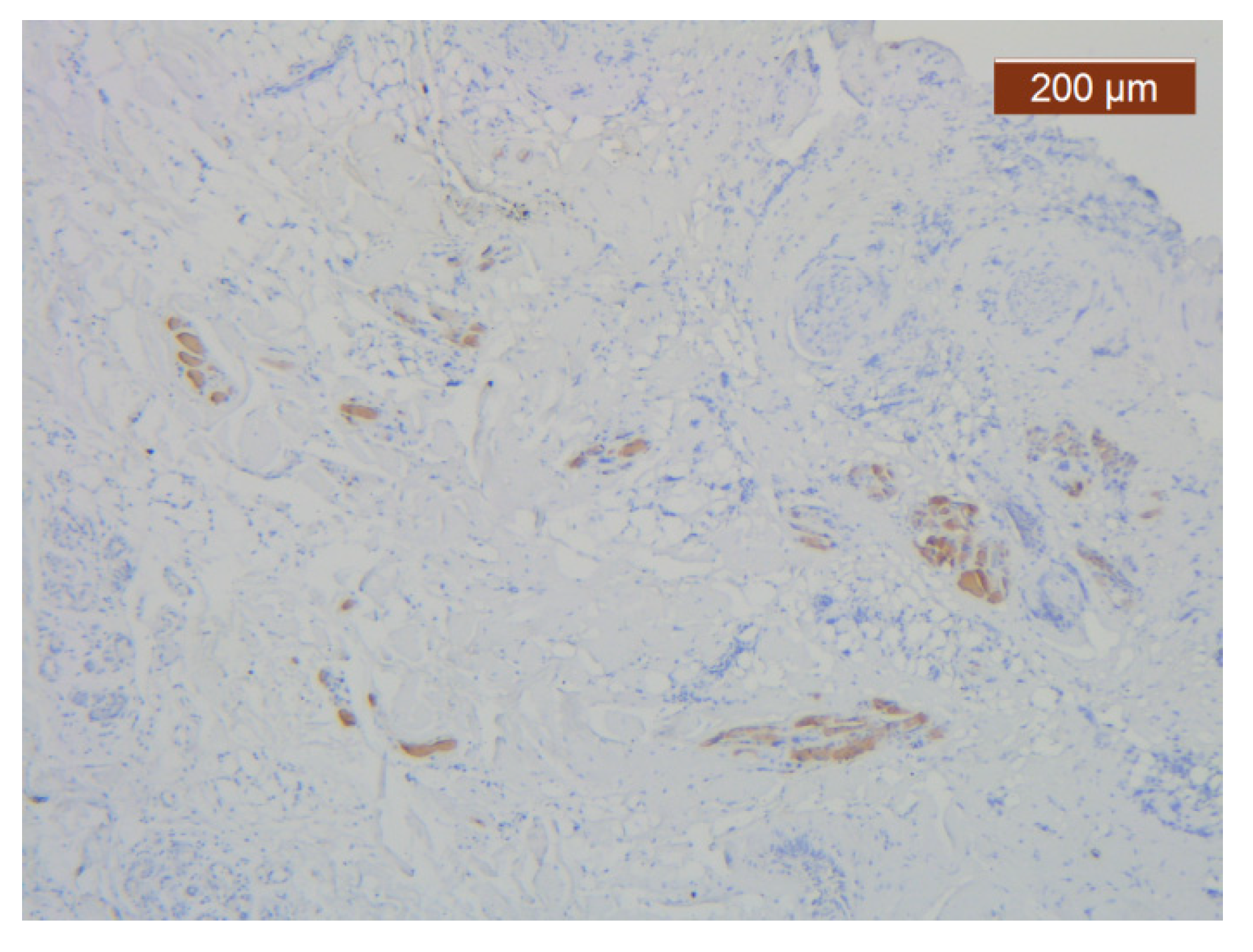 Diagnostics 14 02294 g013