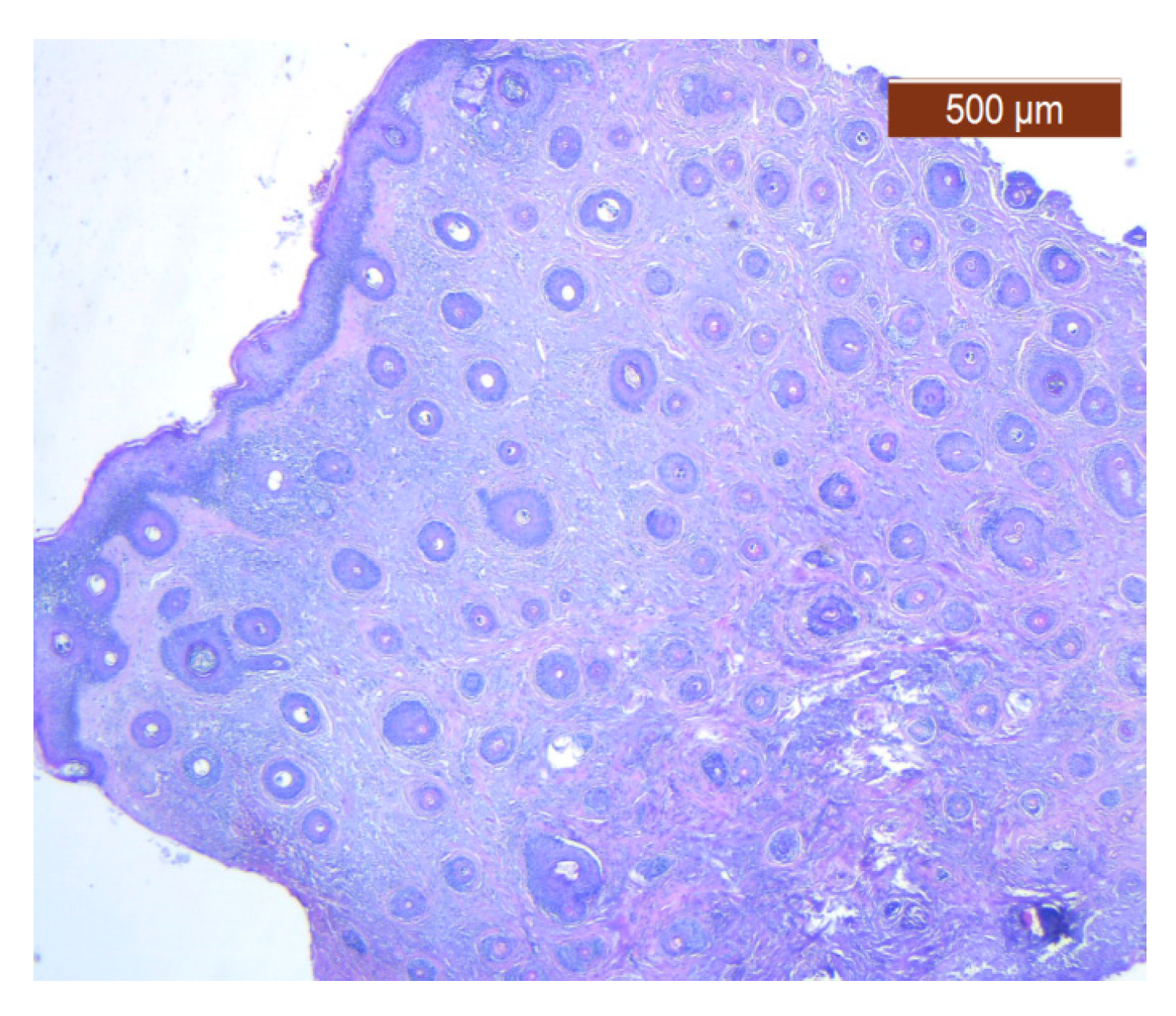 Diagnostics 14 02294 g014