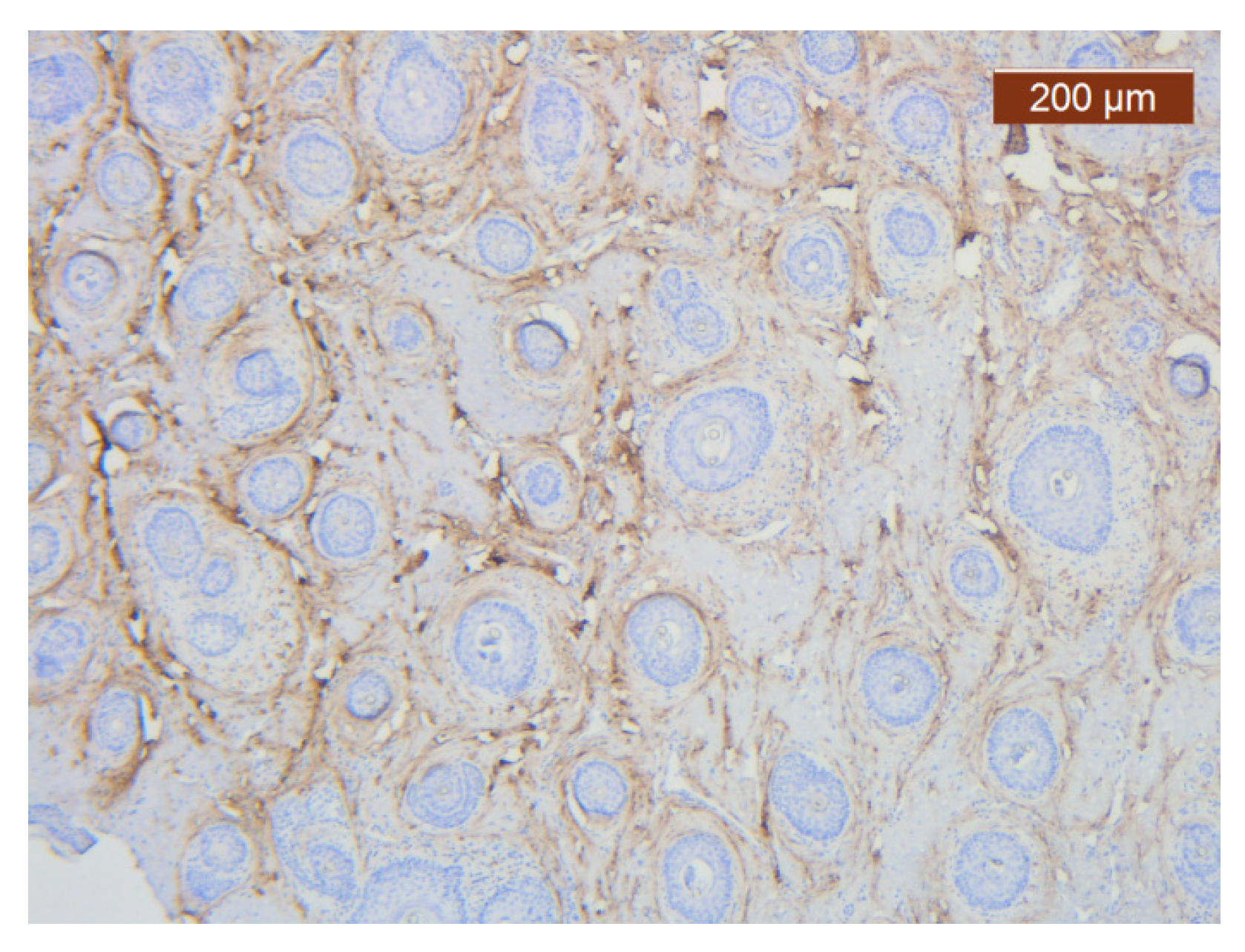 Diagnostics 14 02294 g015