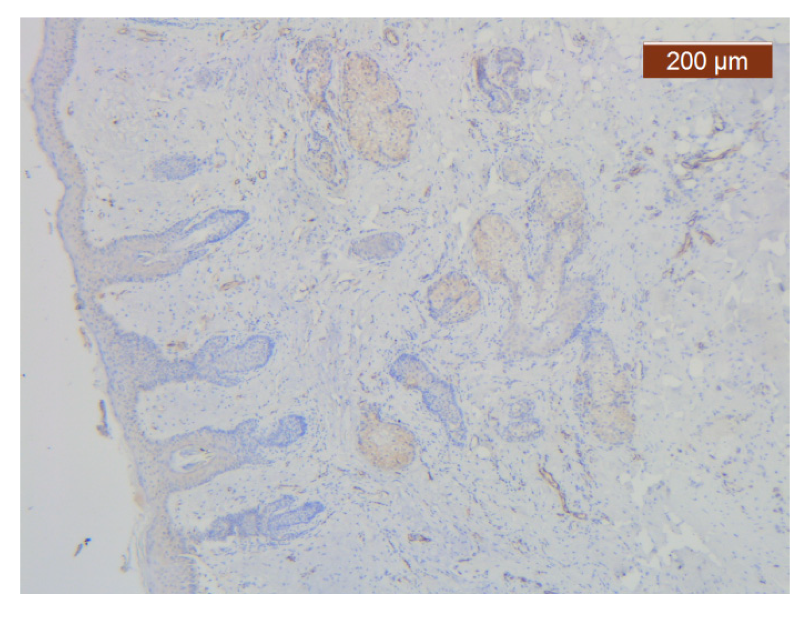 Diagnostics 14 02294 g016