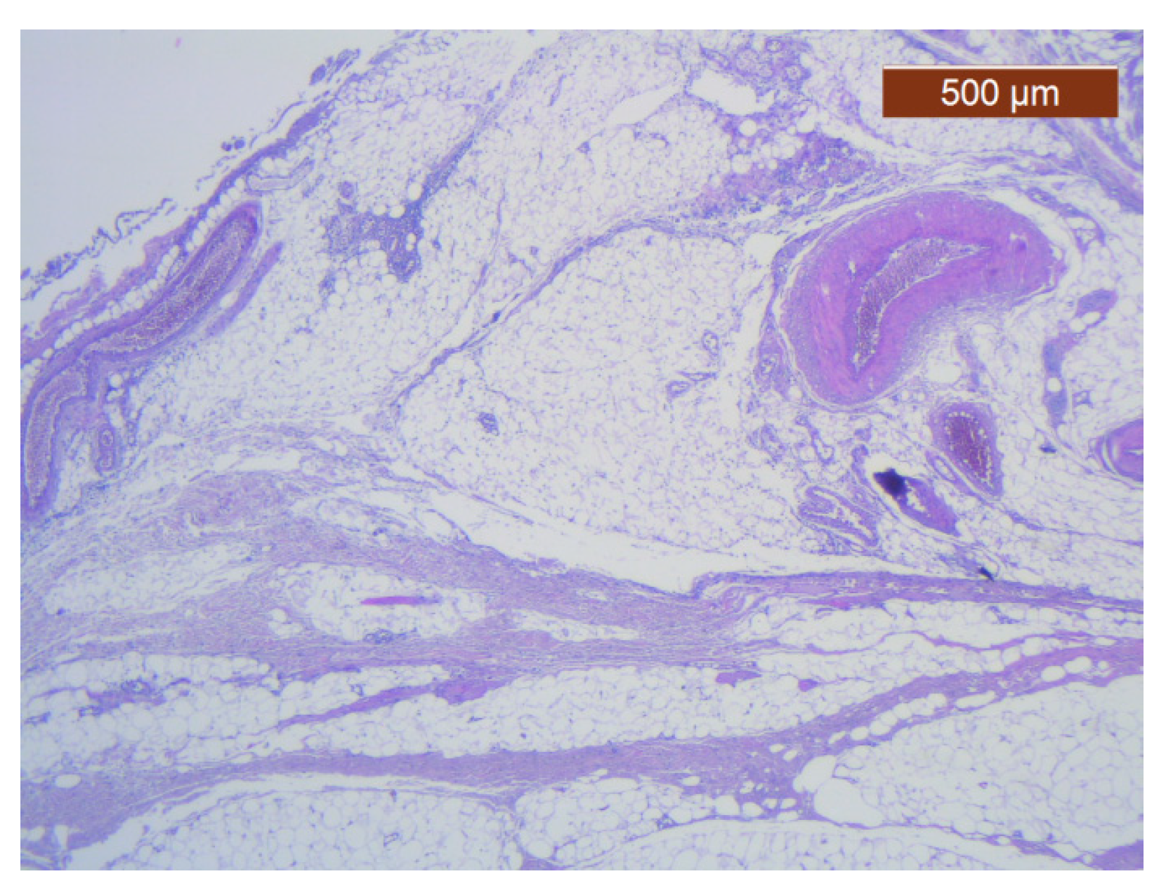 Diagnostics 14 02294 g019