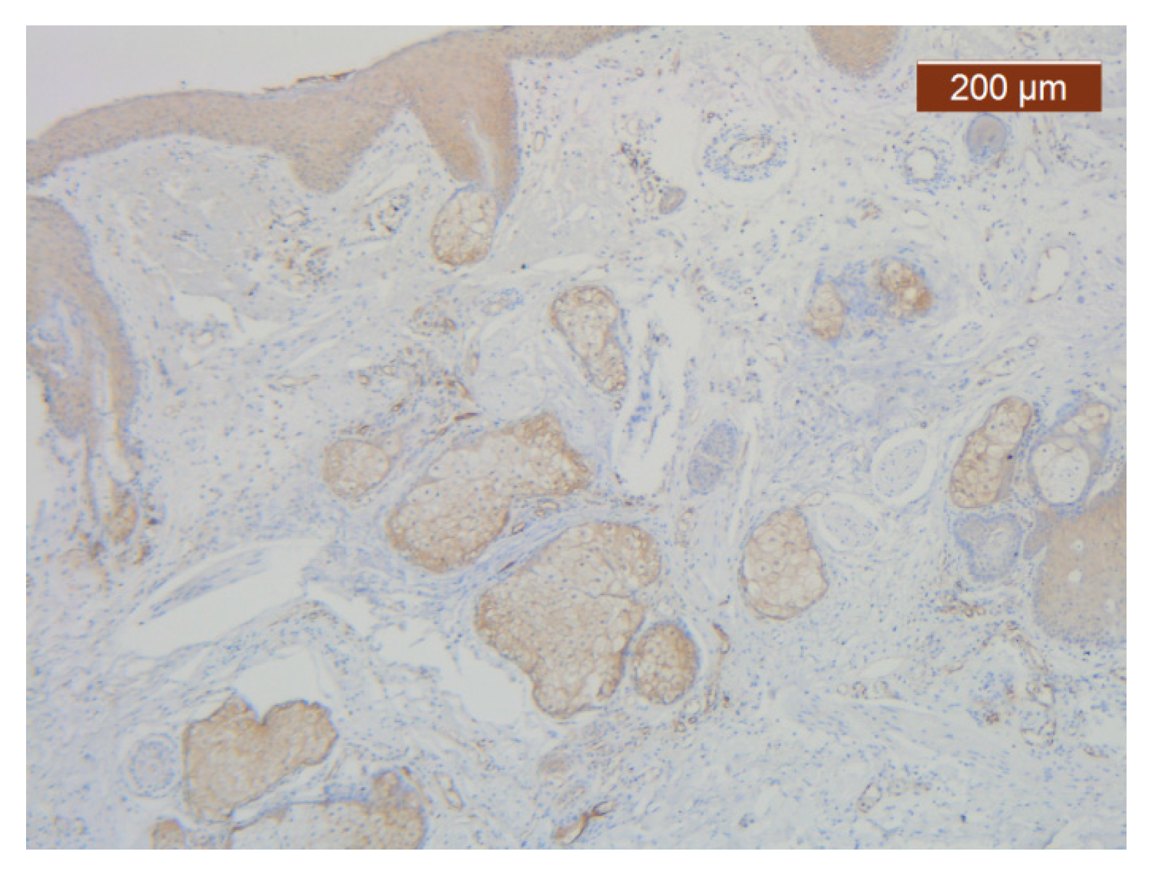 Diagnostics 14 02294 g021