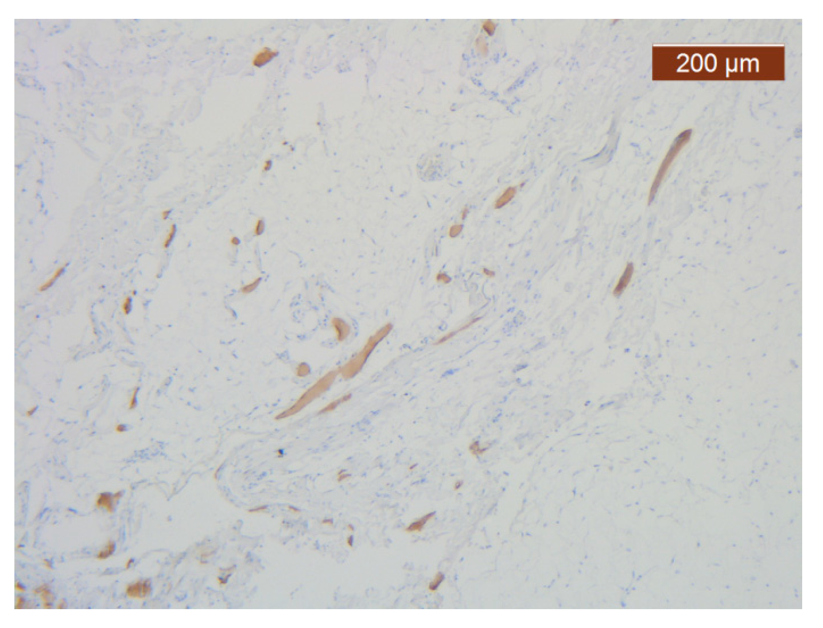 Diagnostics 14 02294 g022