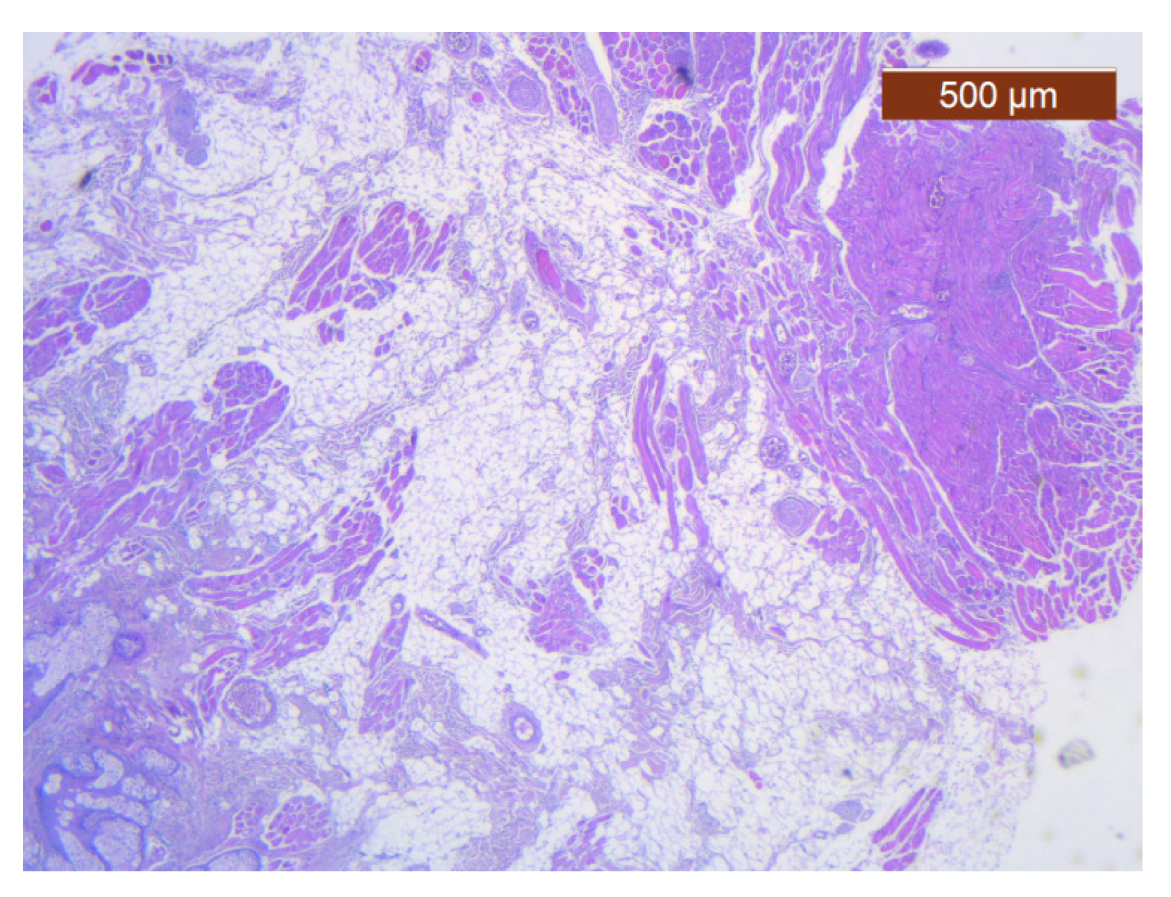 Diagnostics 14 02294 g023