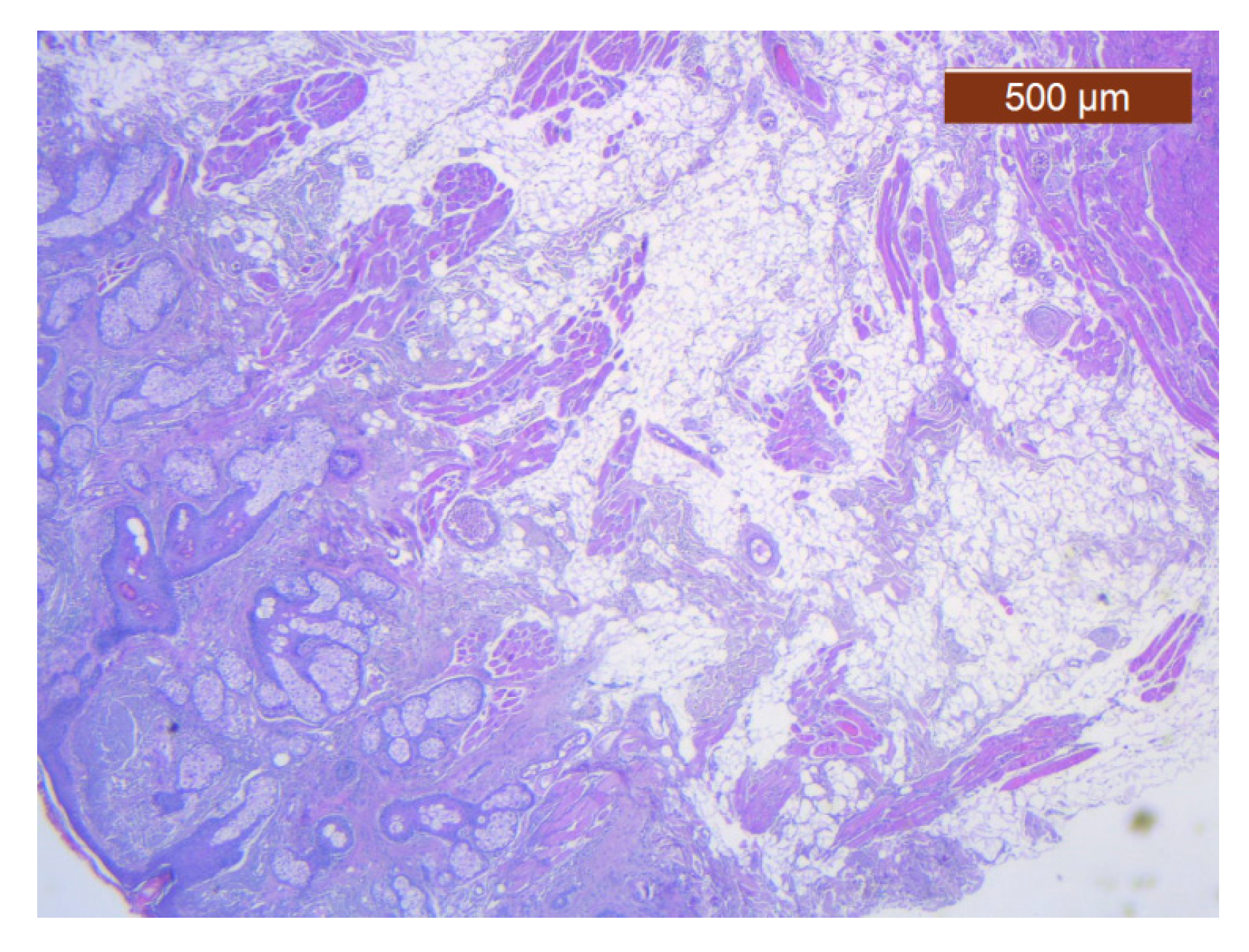 Diagnostics 14 02294 g024