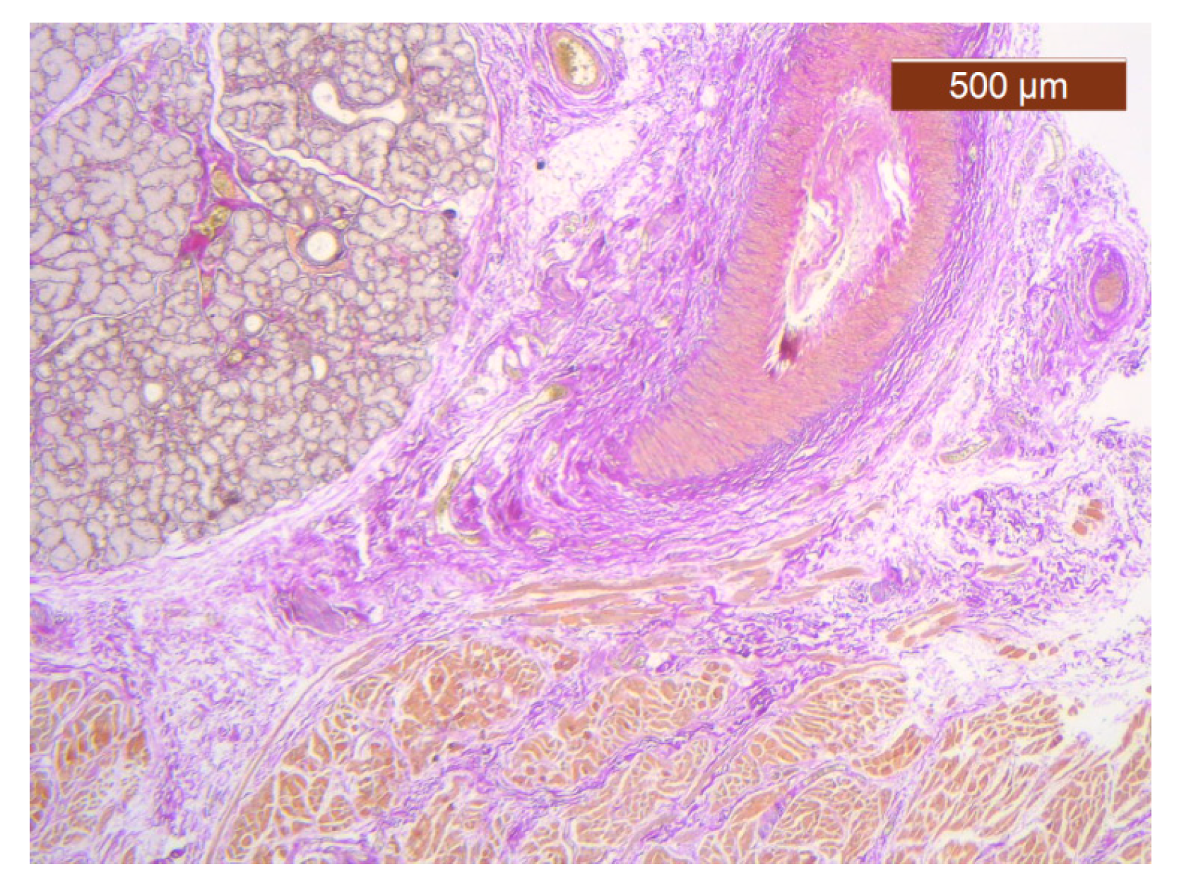 Diagnostics 14 02294 g026