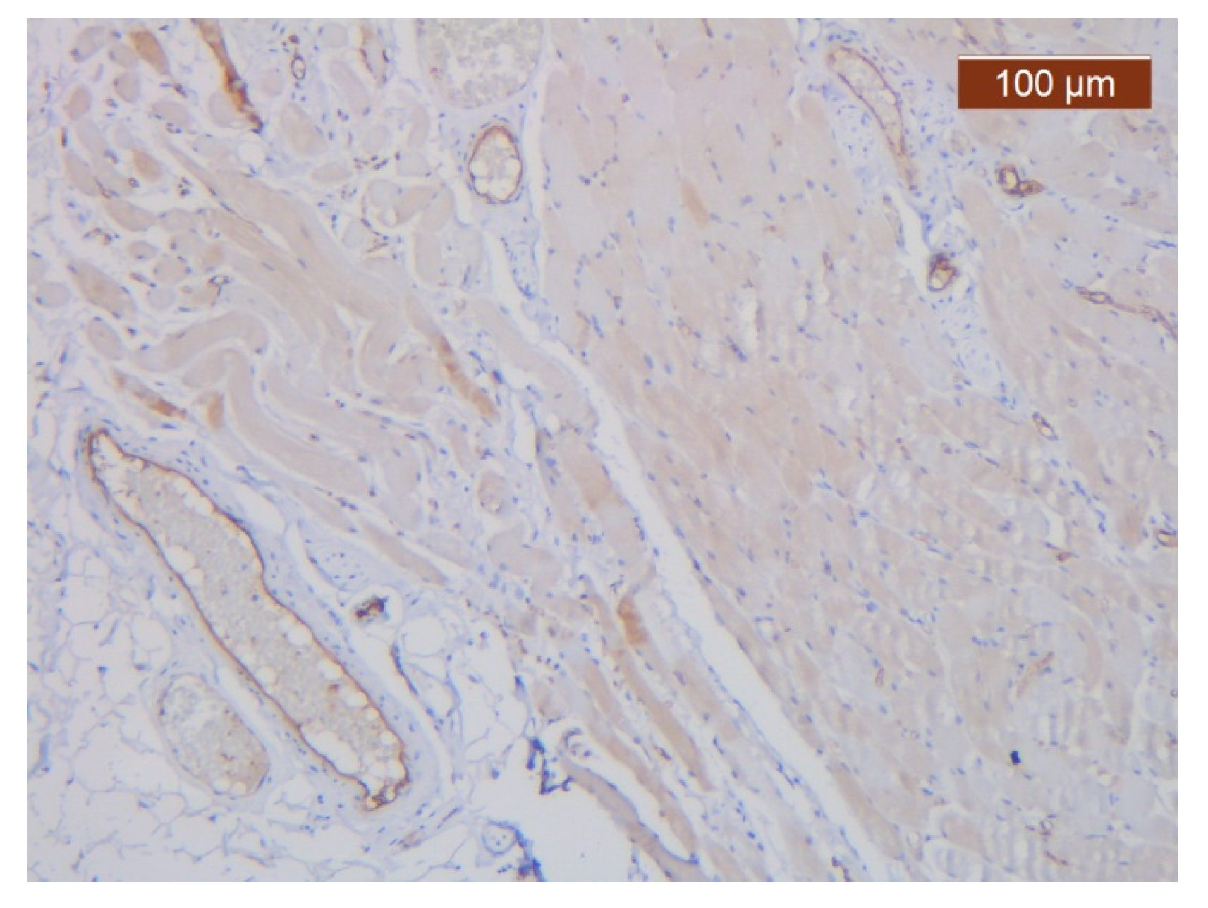 Diagnostics 14 02294 g029