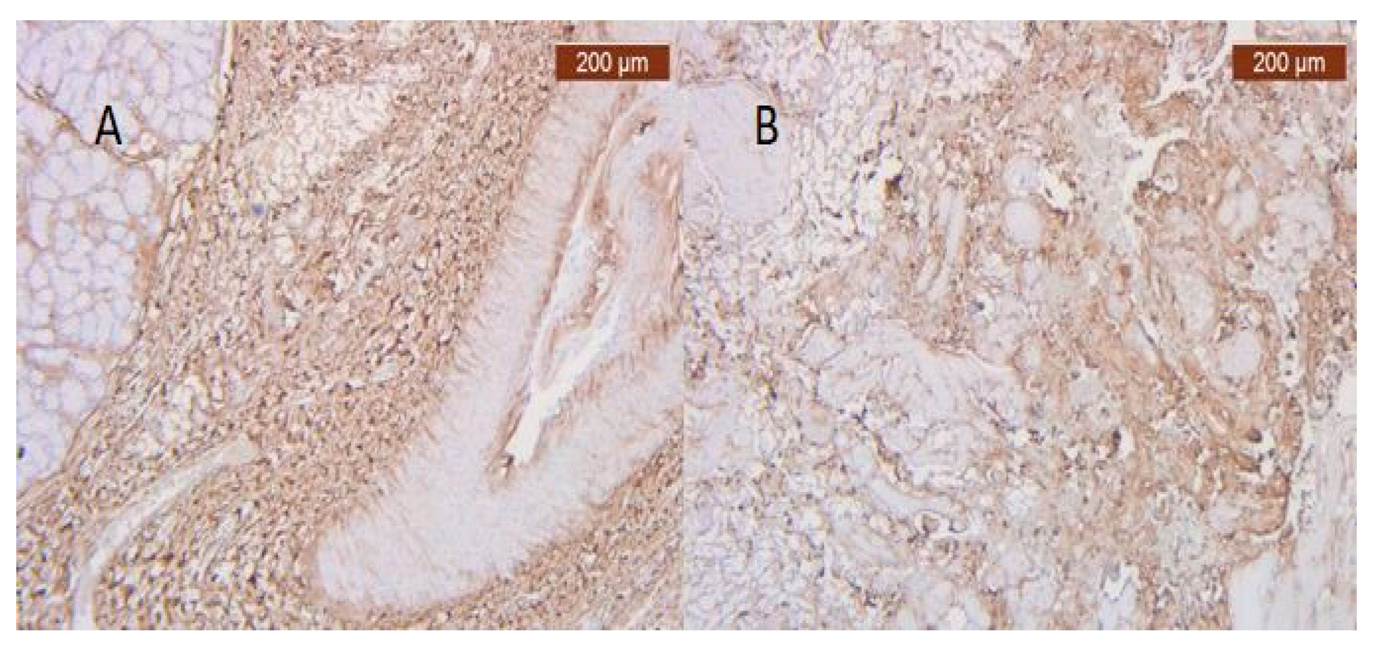 Diagnostics 14 02294 g030