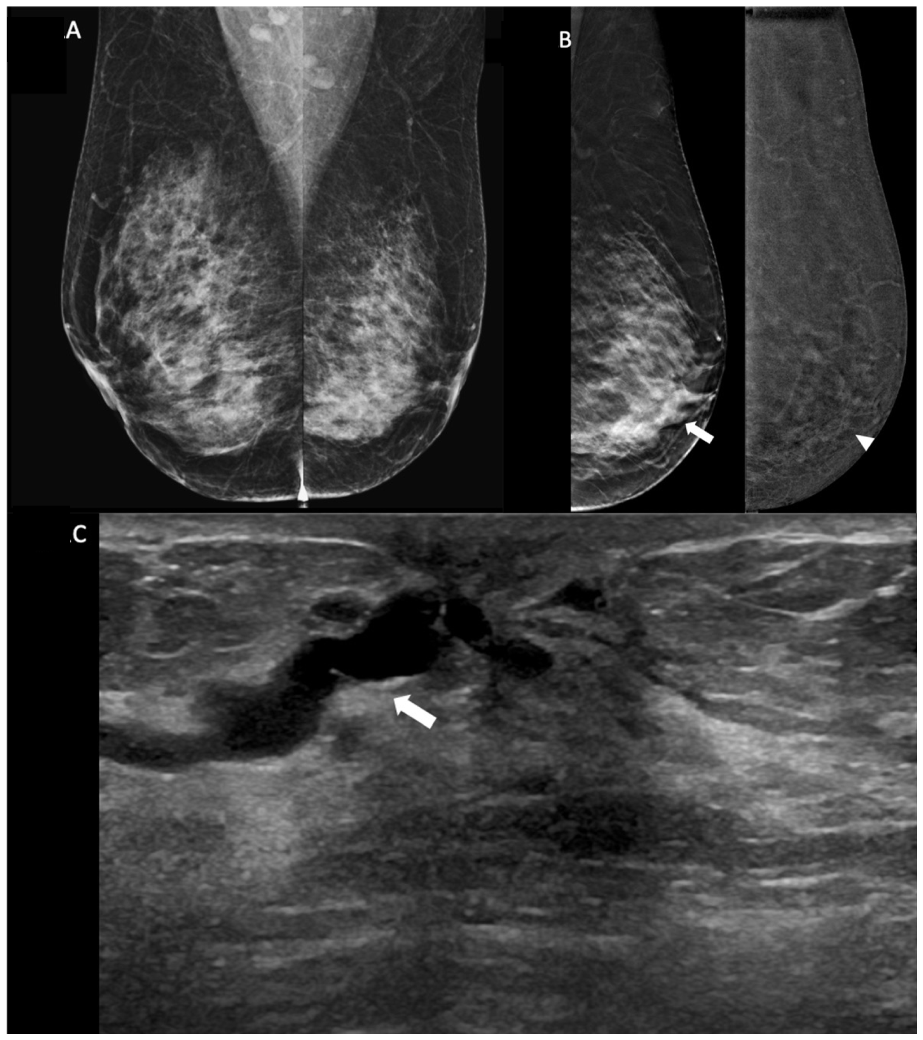 Diagnostics 14 02297 g001