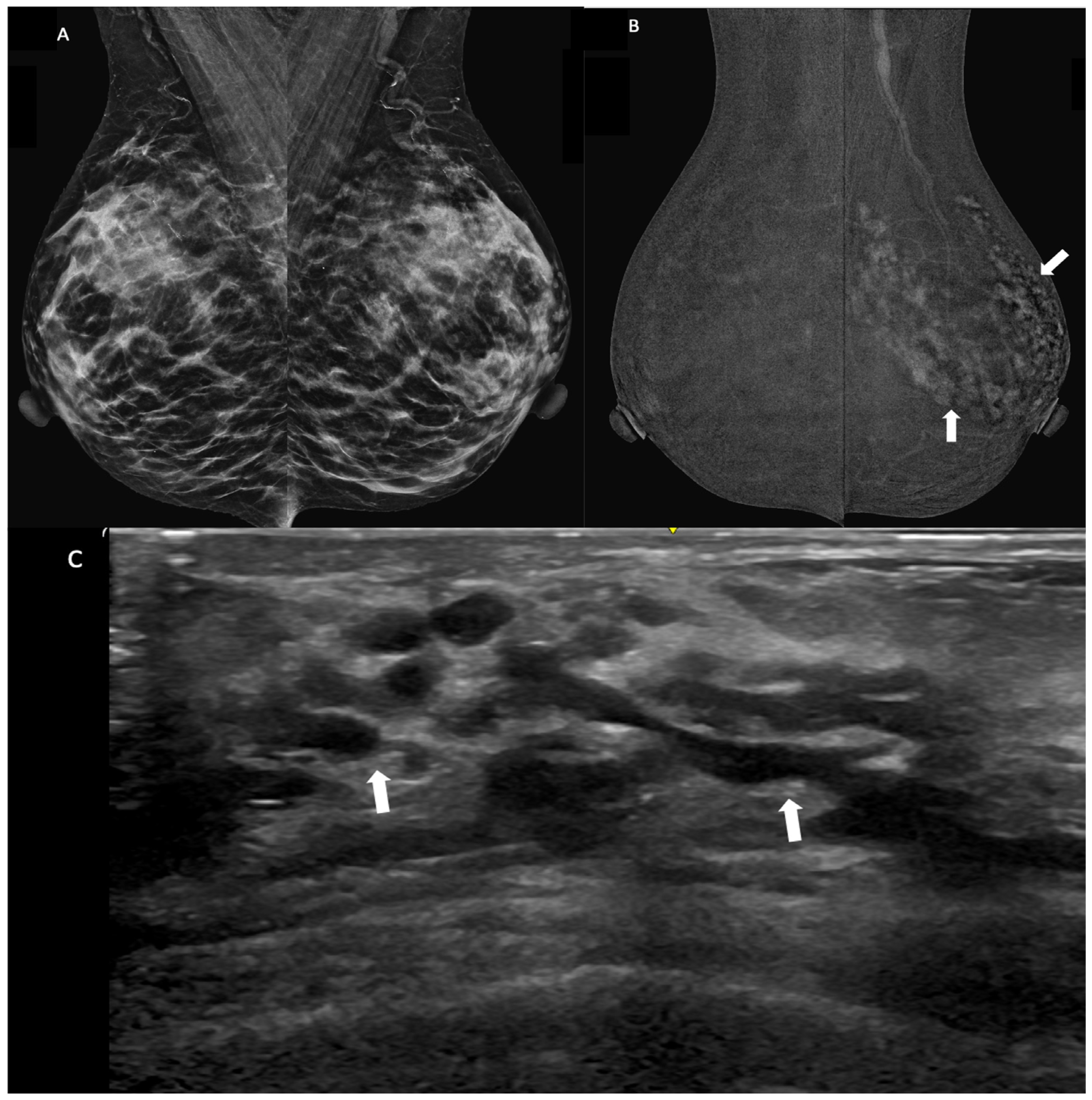 Diagnostics 14 02297 g003