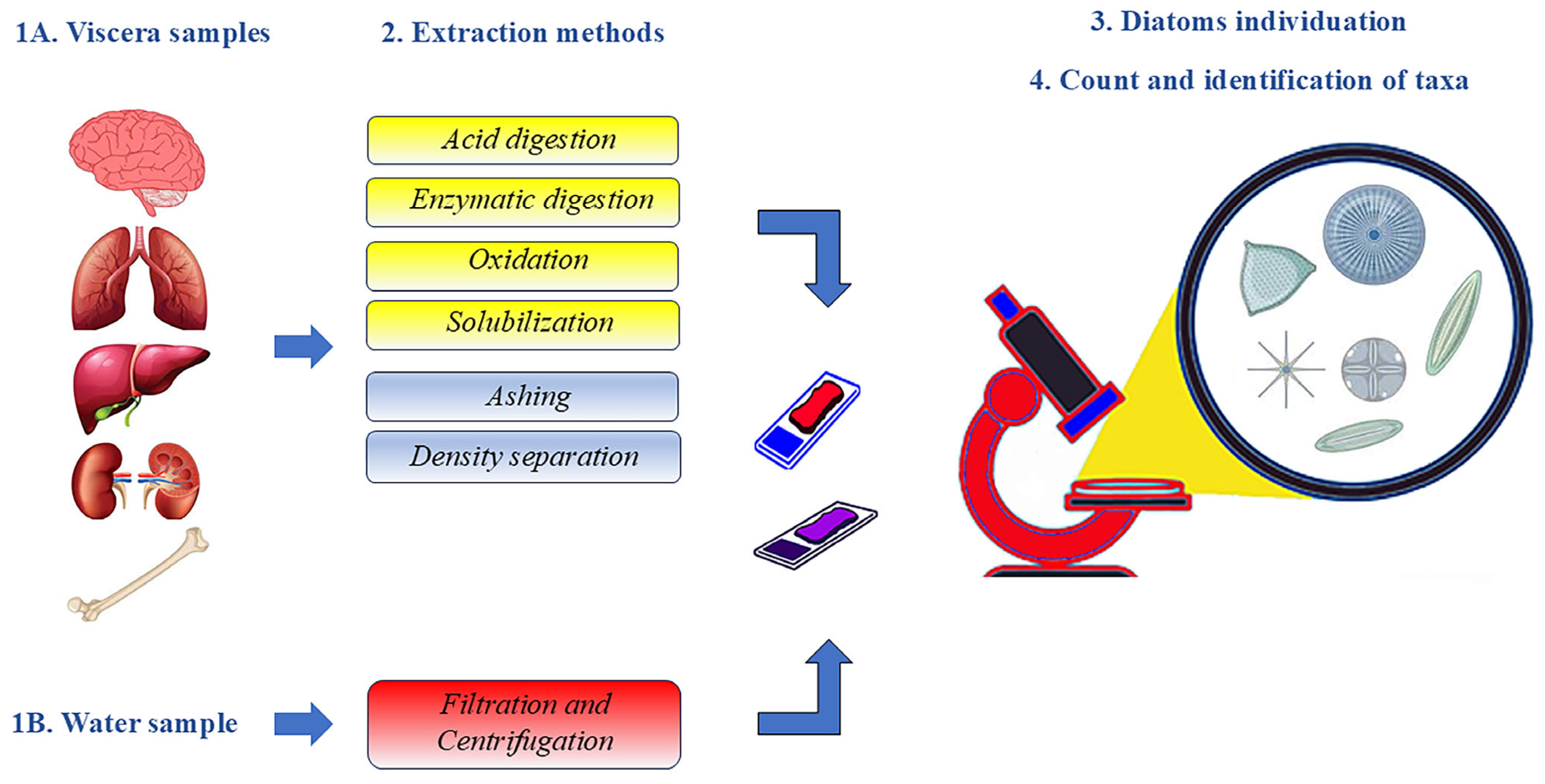 Diagnostics 14 02302 g001