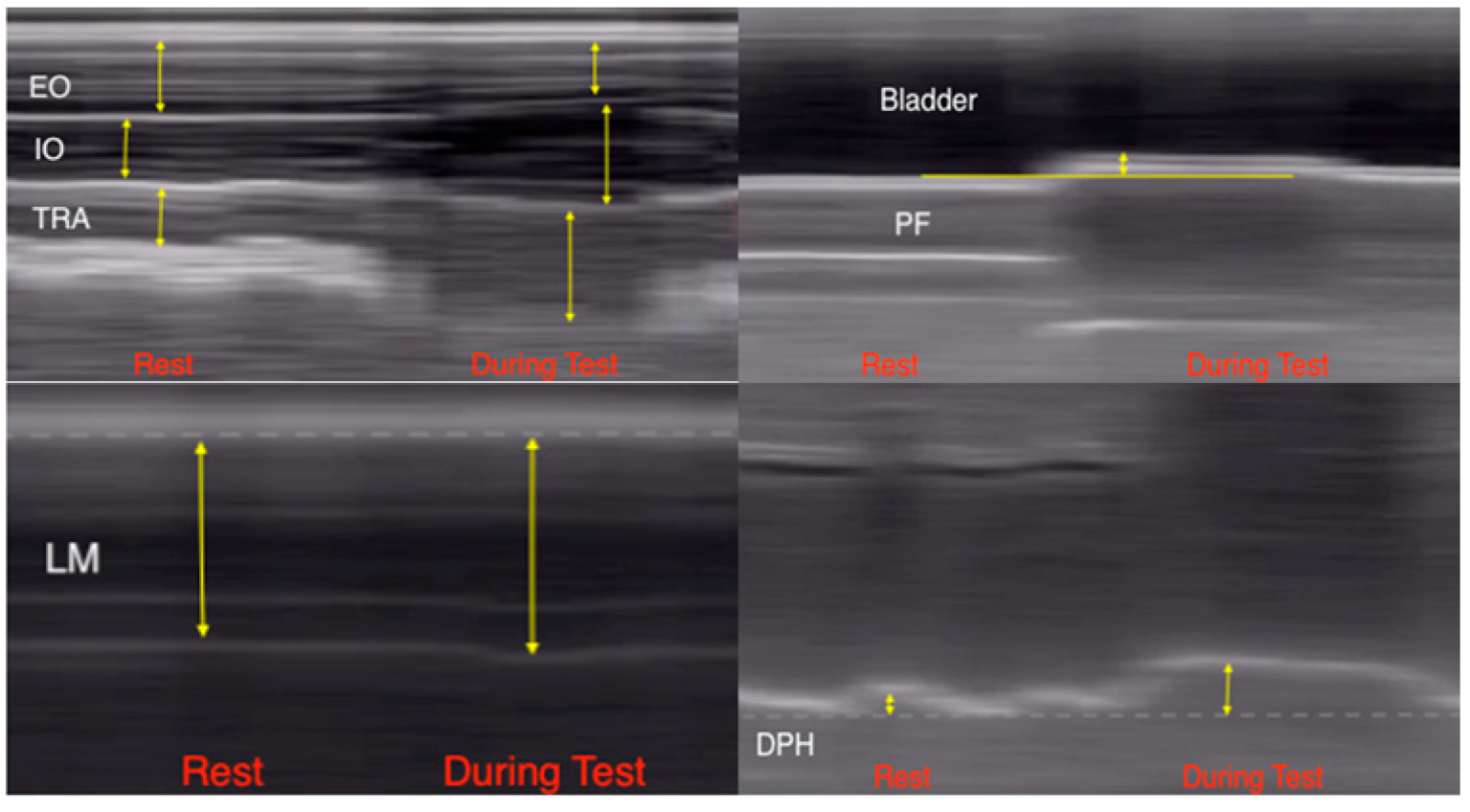 Diagnostics 14 02310 g002