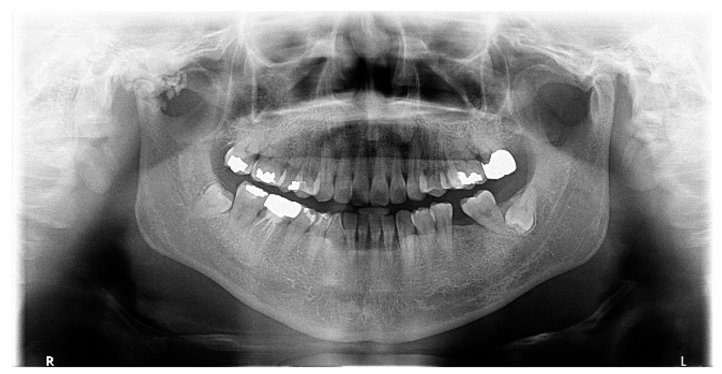 Diagnostics 14 02311 g001