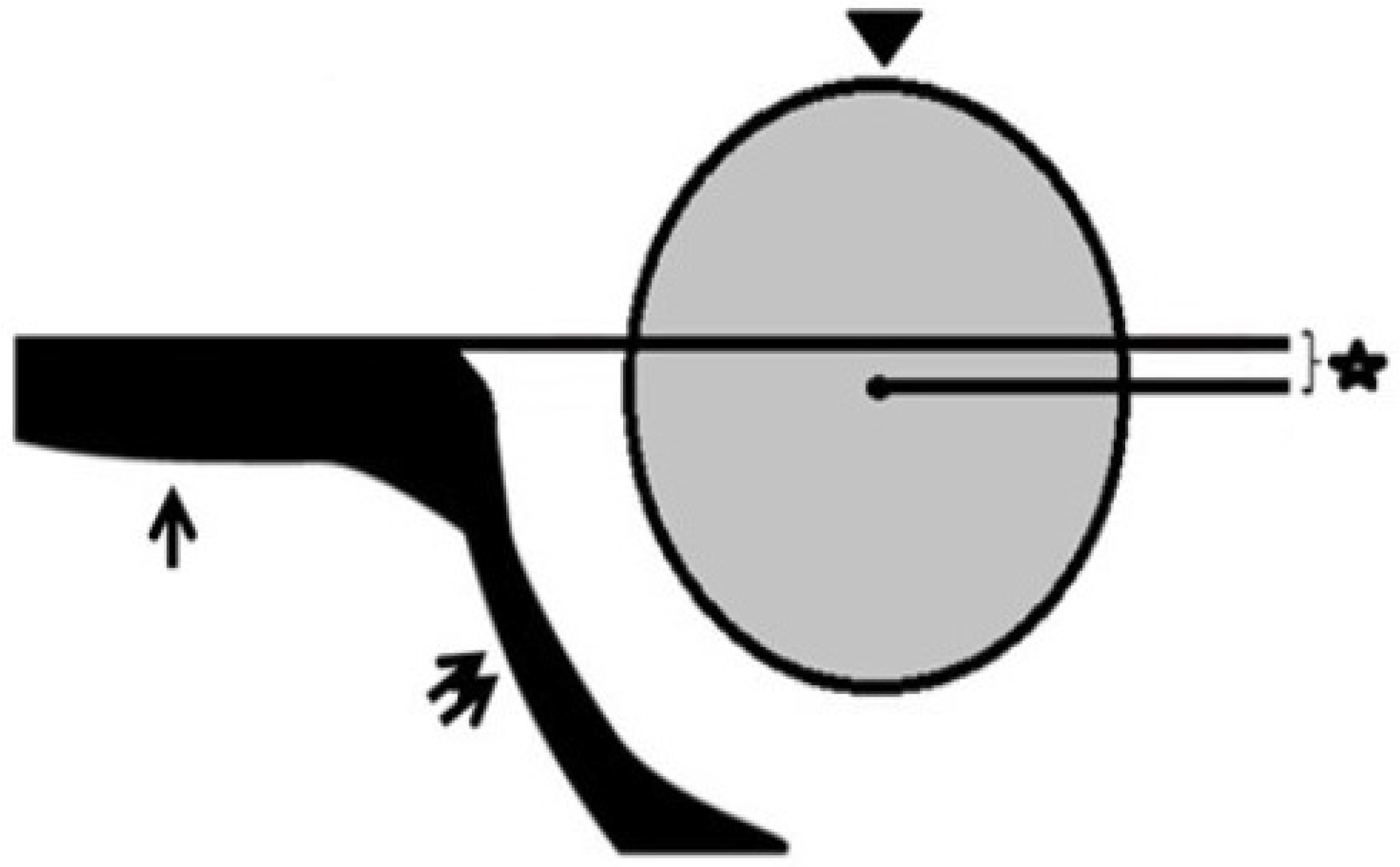 Diagnostics 14 02317 g001