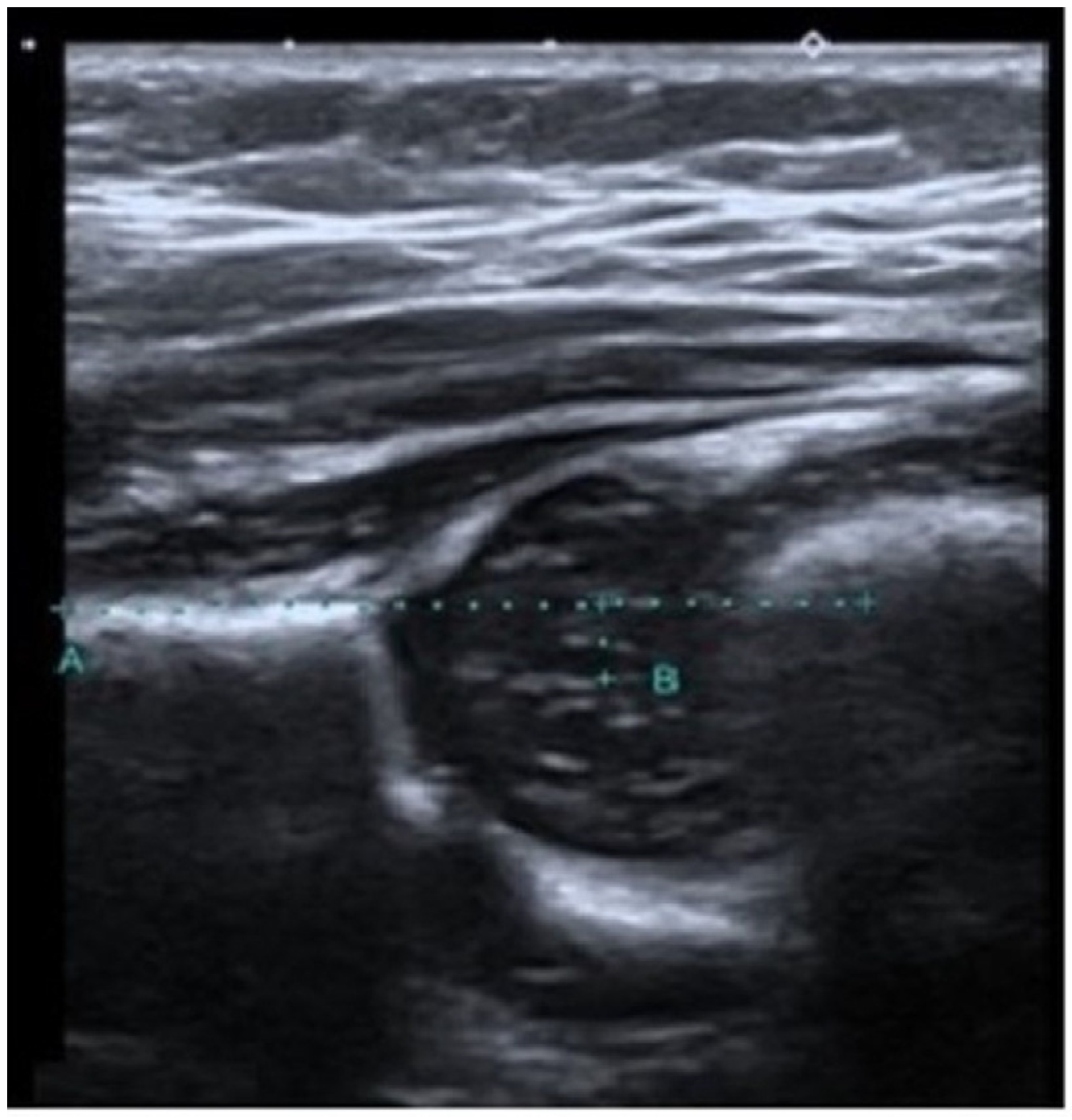 Diagnostics 14 02317 g002