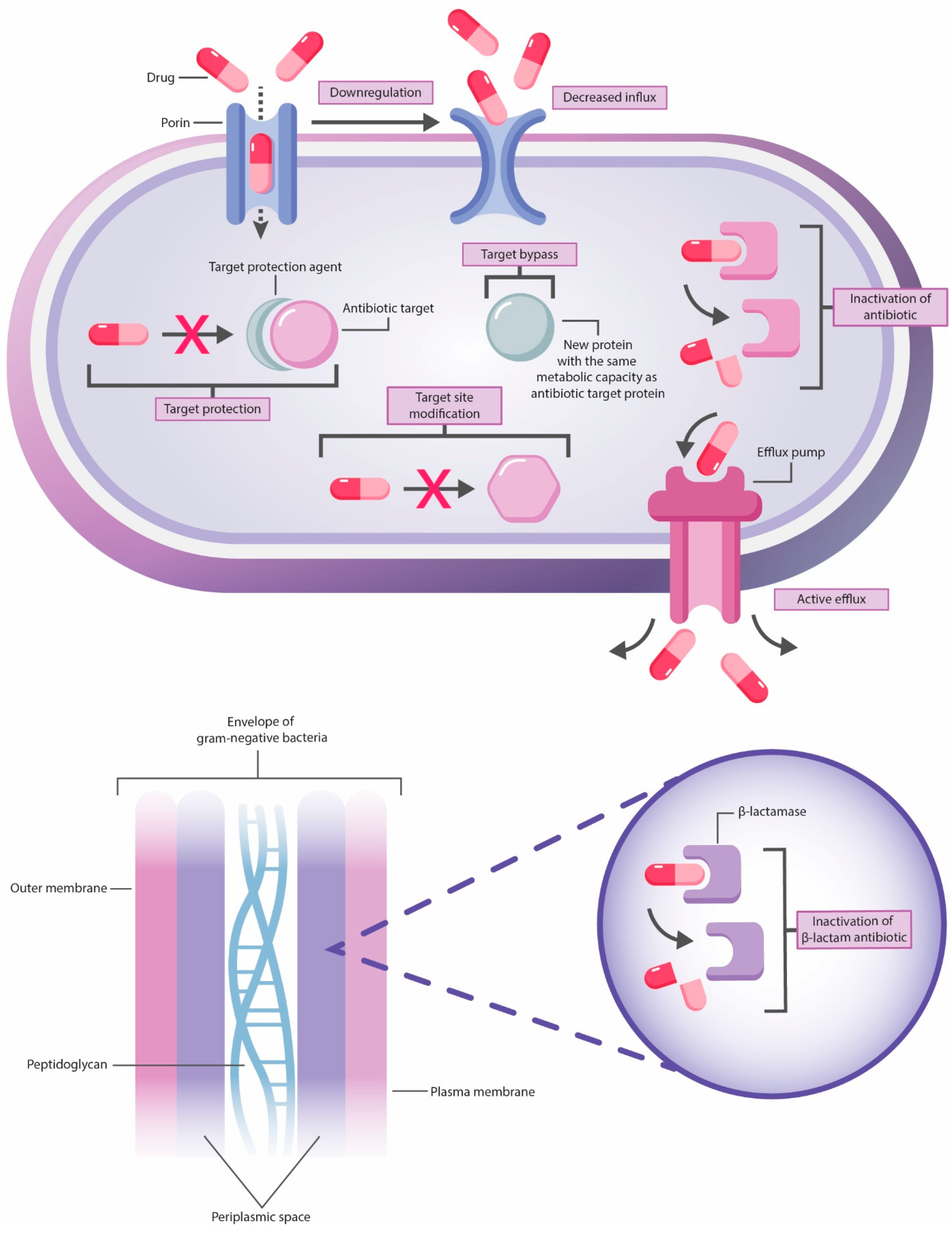 Diagnostics 14 02319 g003