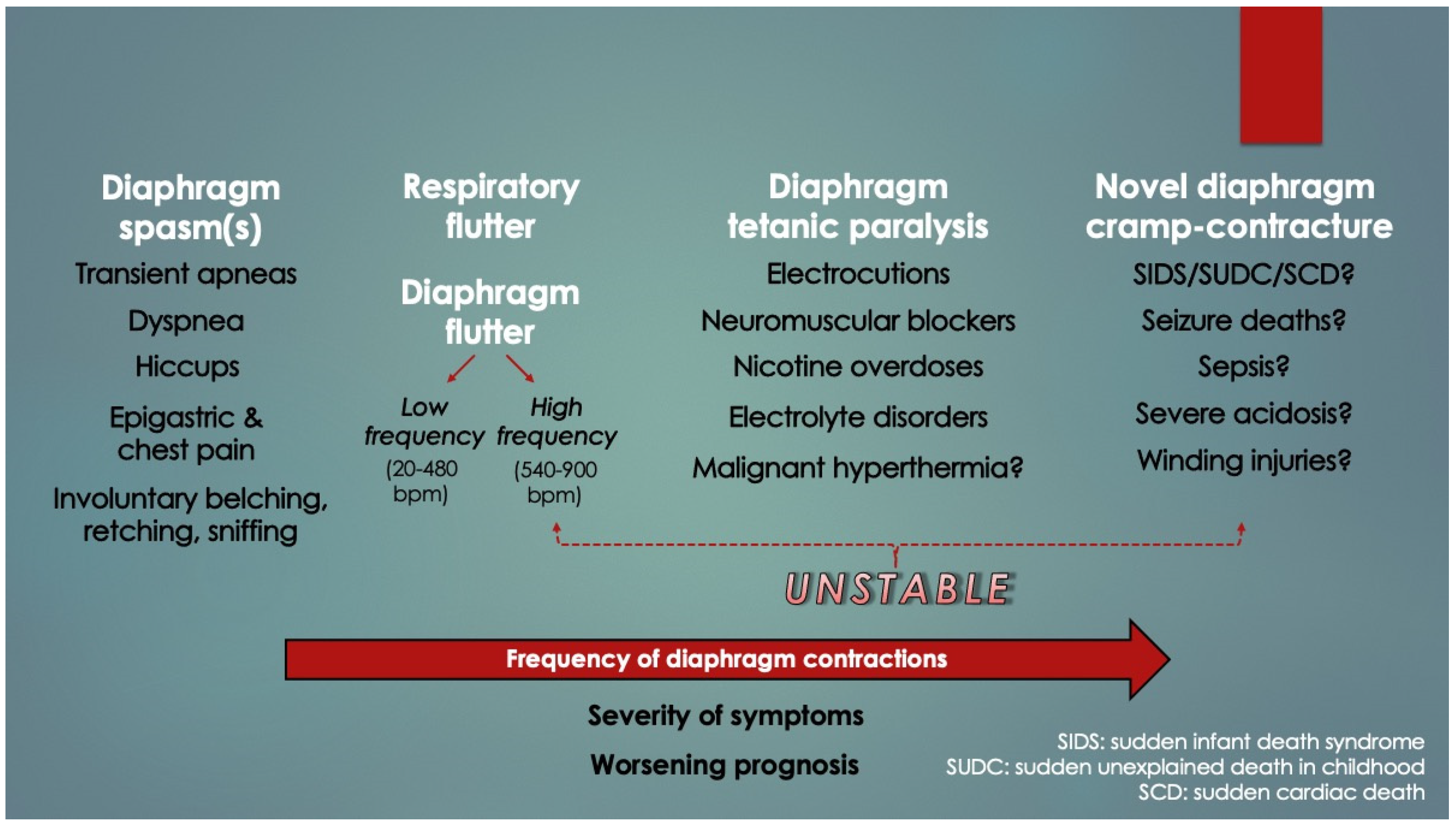 Diagnostics 14 02324 g003
