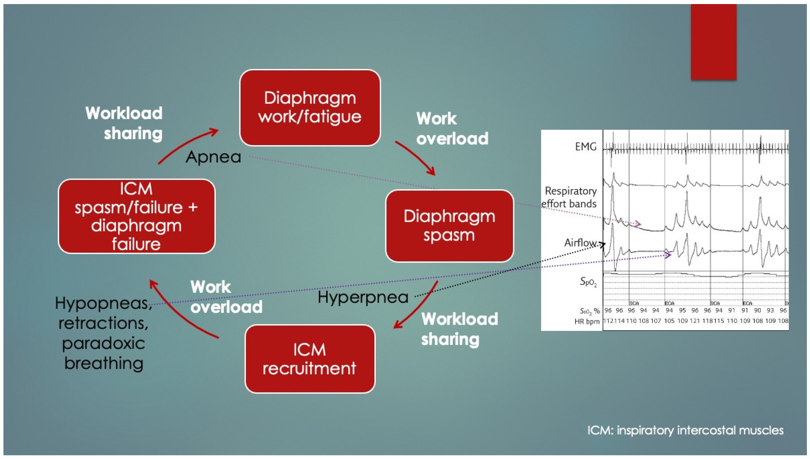 Diagnostics 14 02324 g007