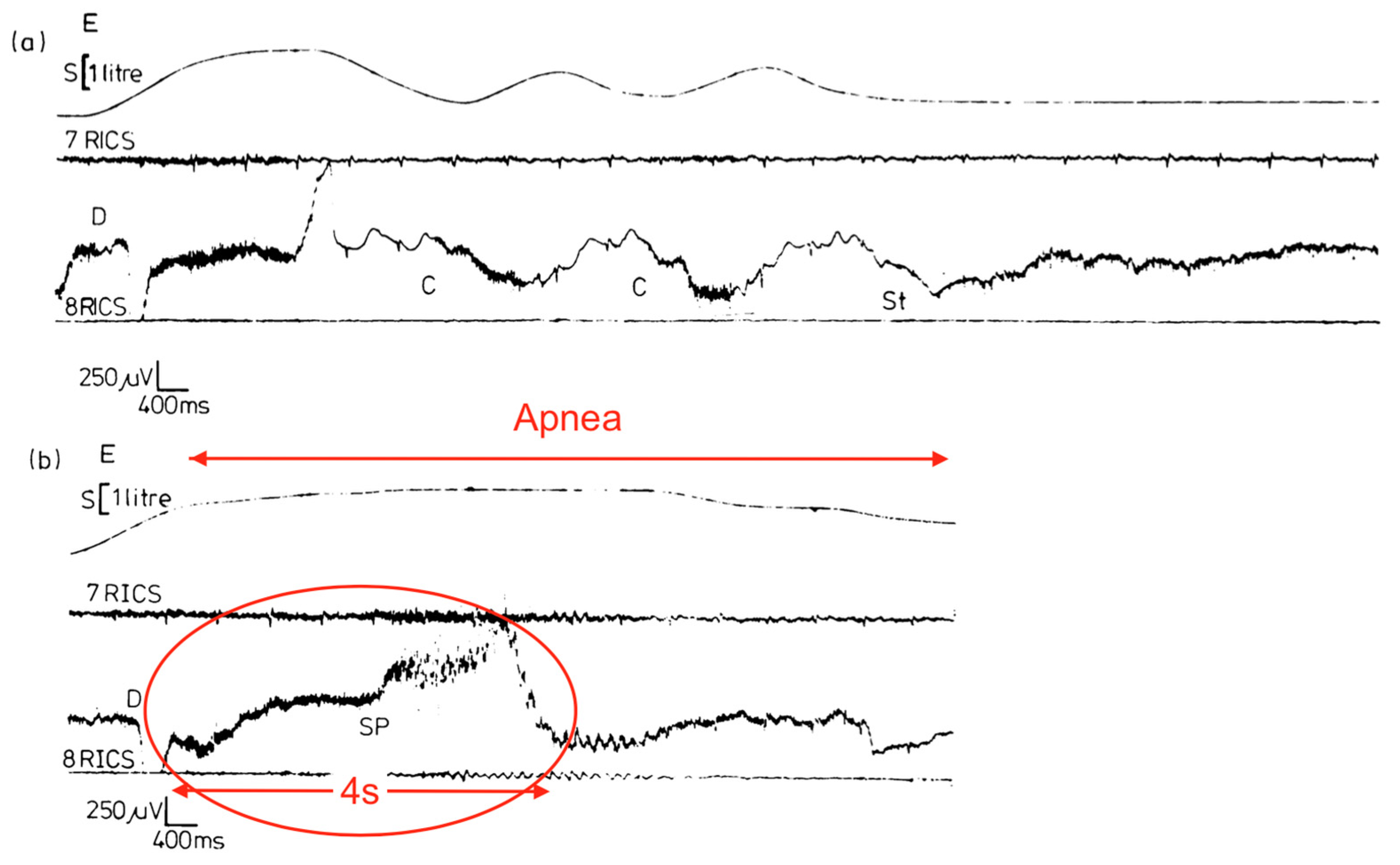 Diagnostics 14 02324 g010