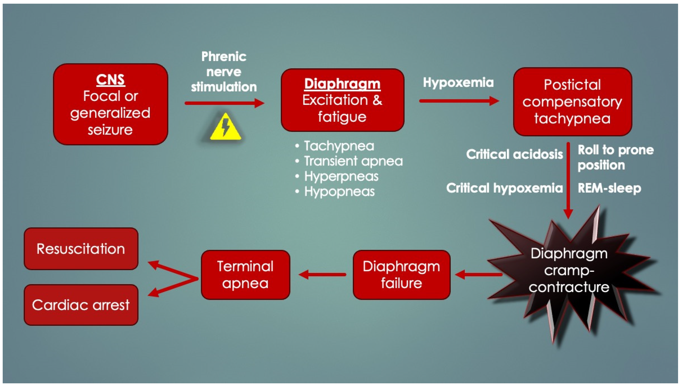 Diagnostics 14 02324 g014