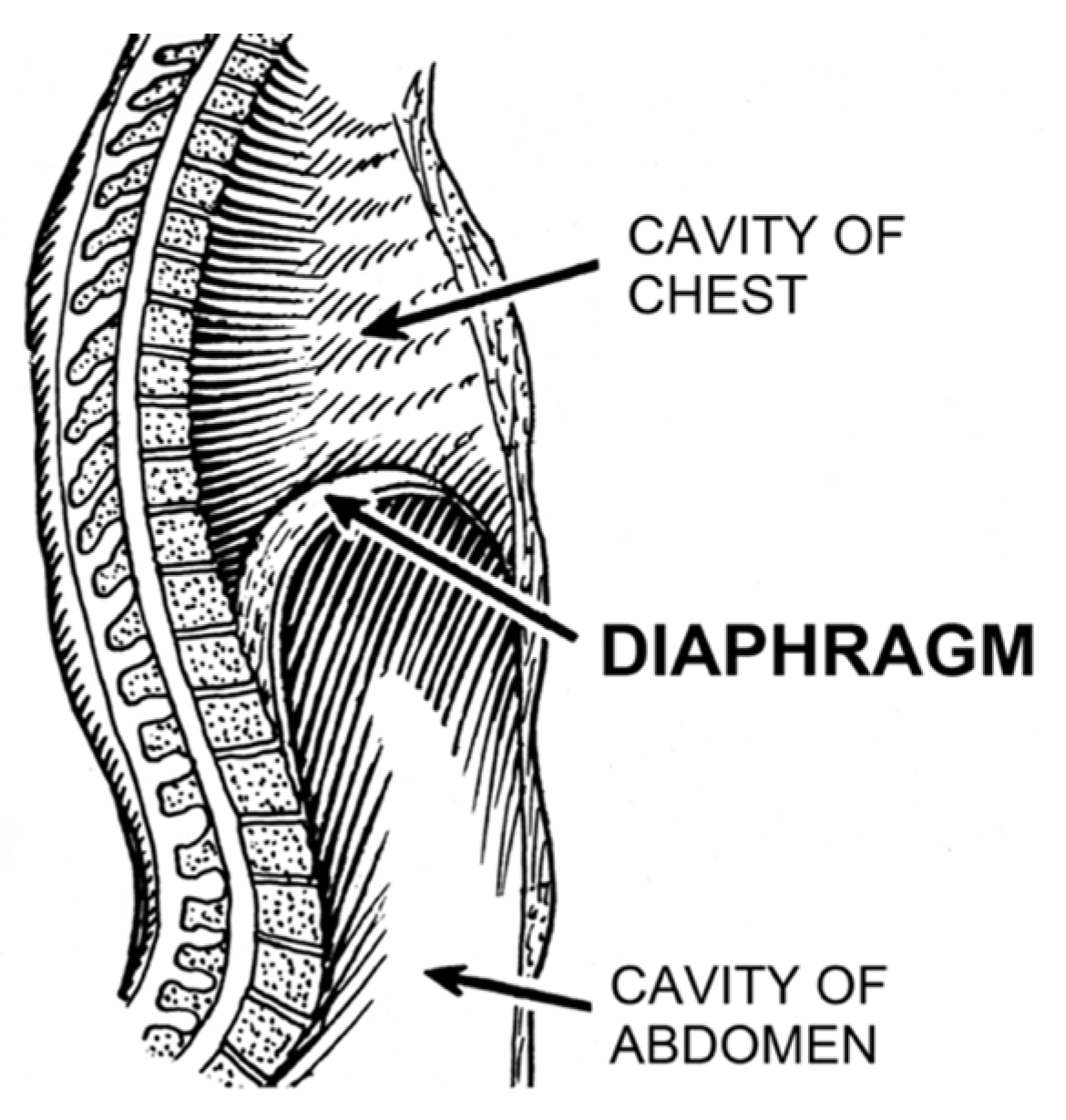 Diagnostics 14 02324 g015