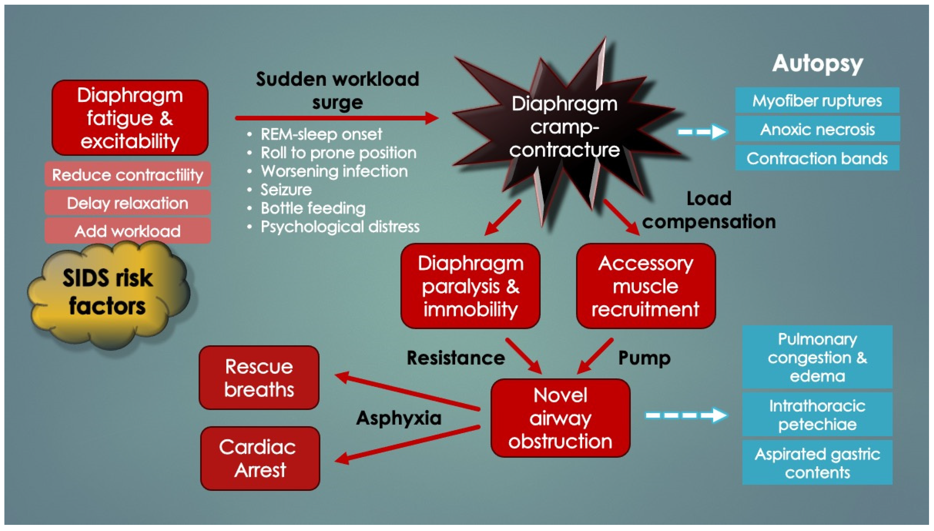Diagnostics 14 02324 g016