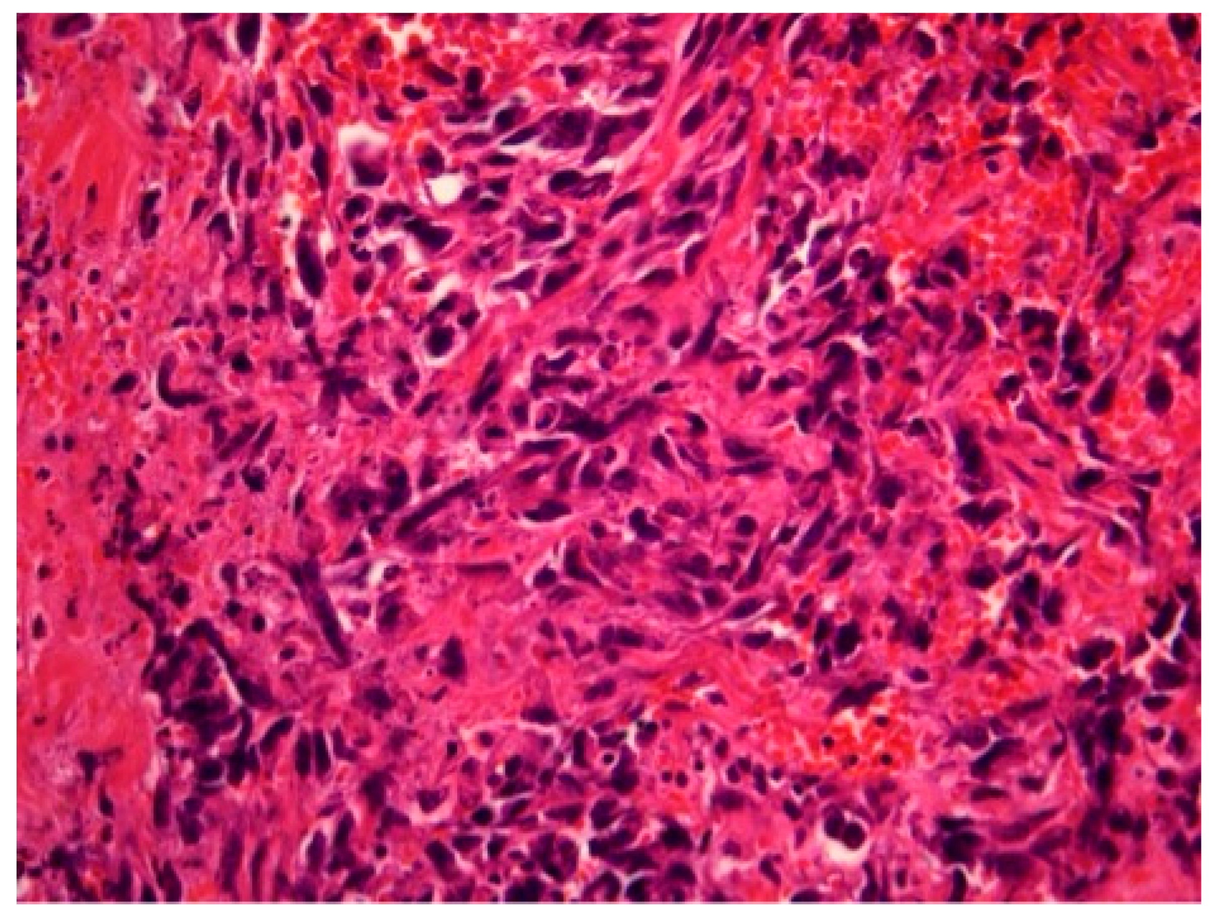 Diagnostics 14 02326 g002