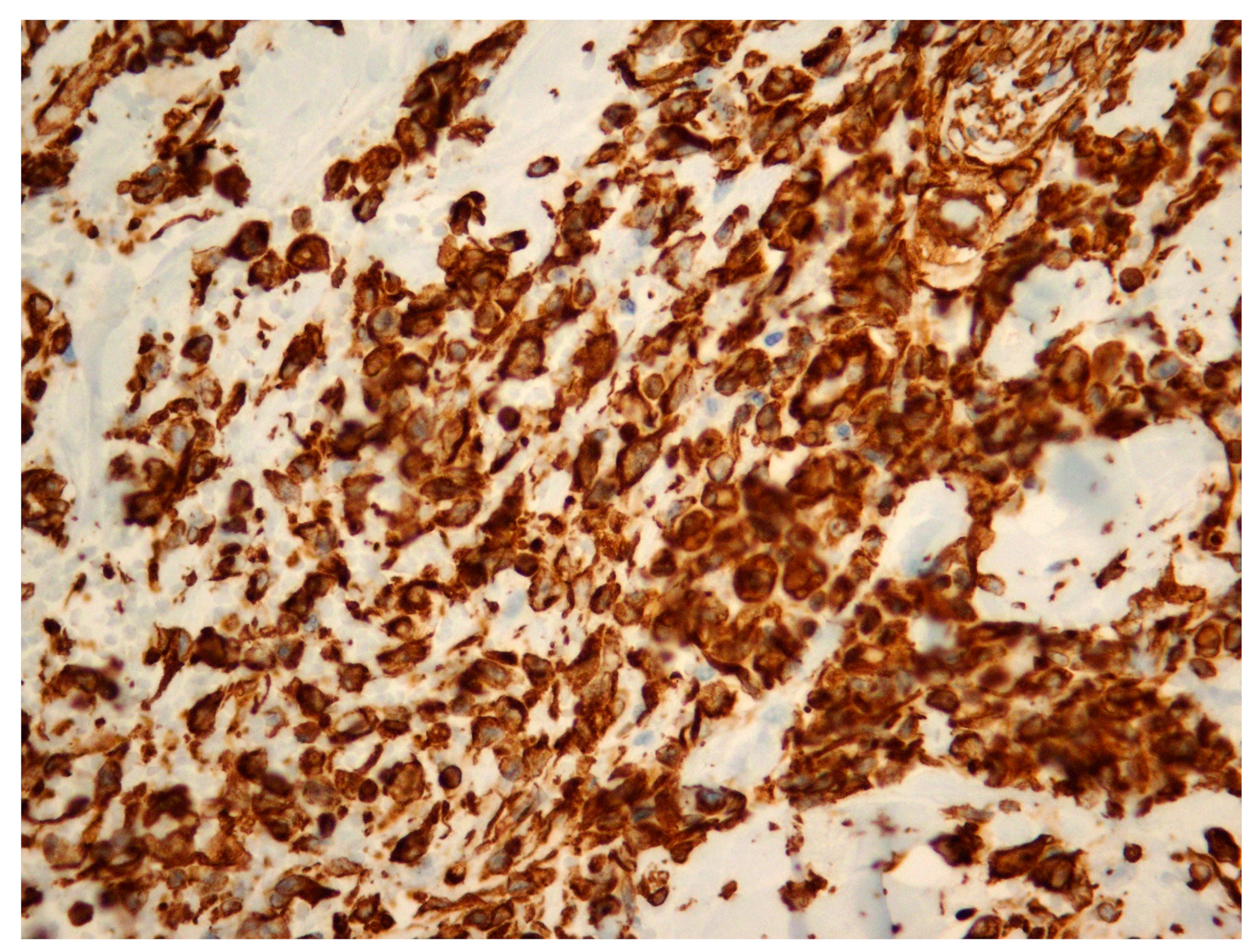 Diagnostics 14 02326 g003