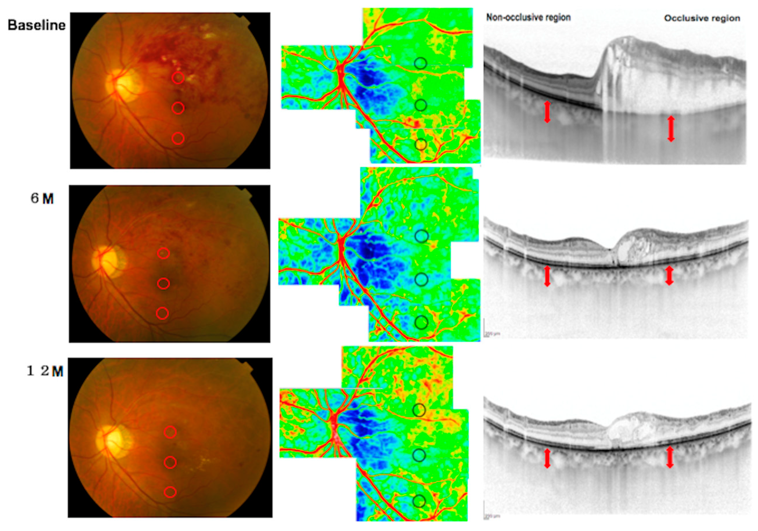Diagnostics 14 02328 g008