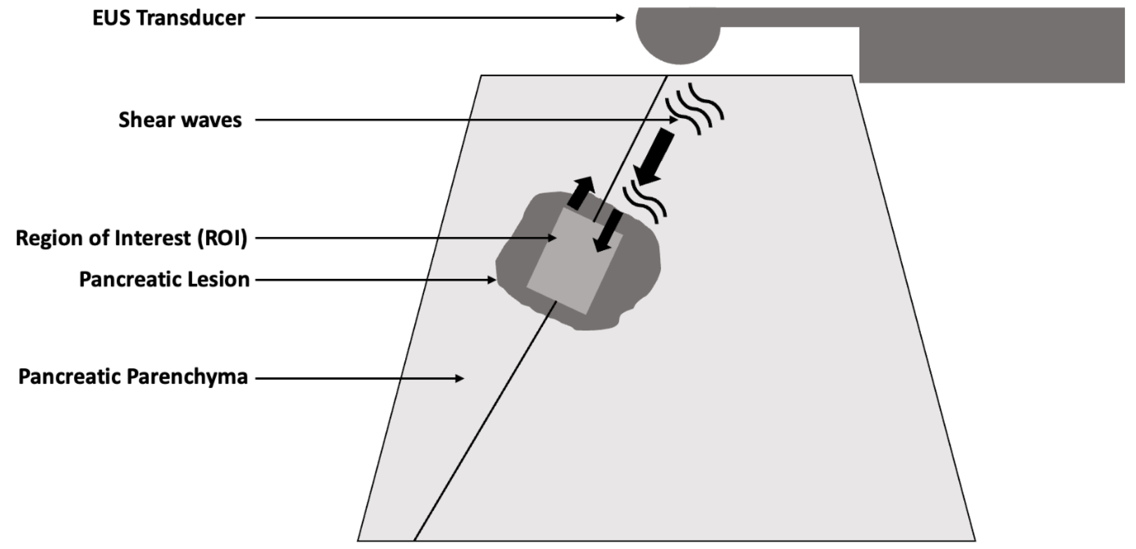Diagnostics 14 02329 g001