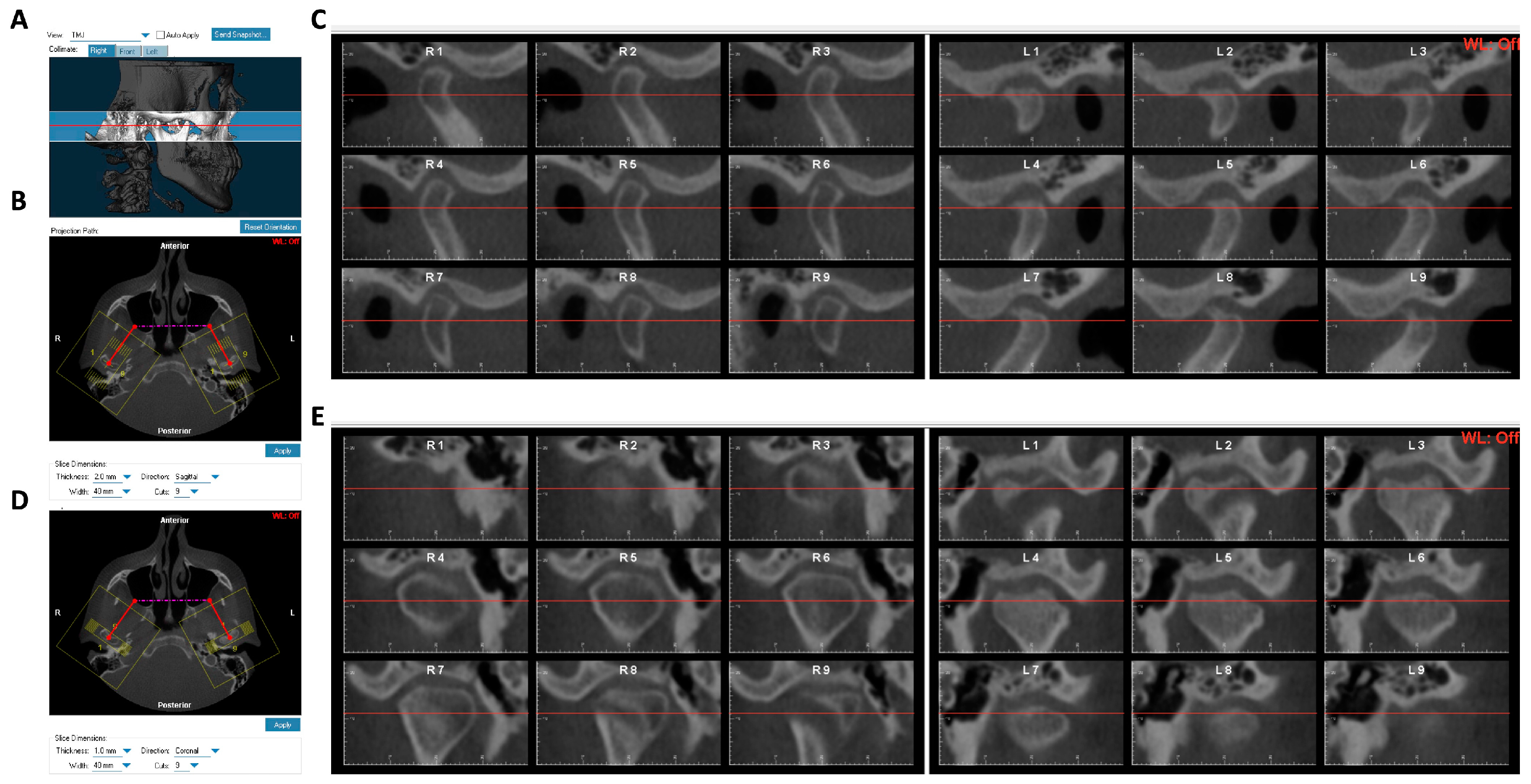 Diagnostics 14 02331 g002