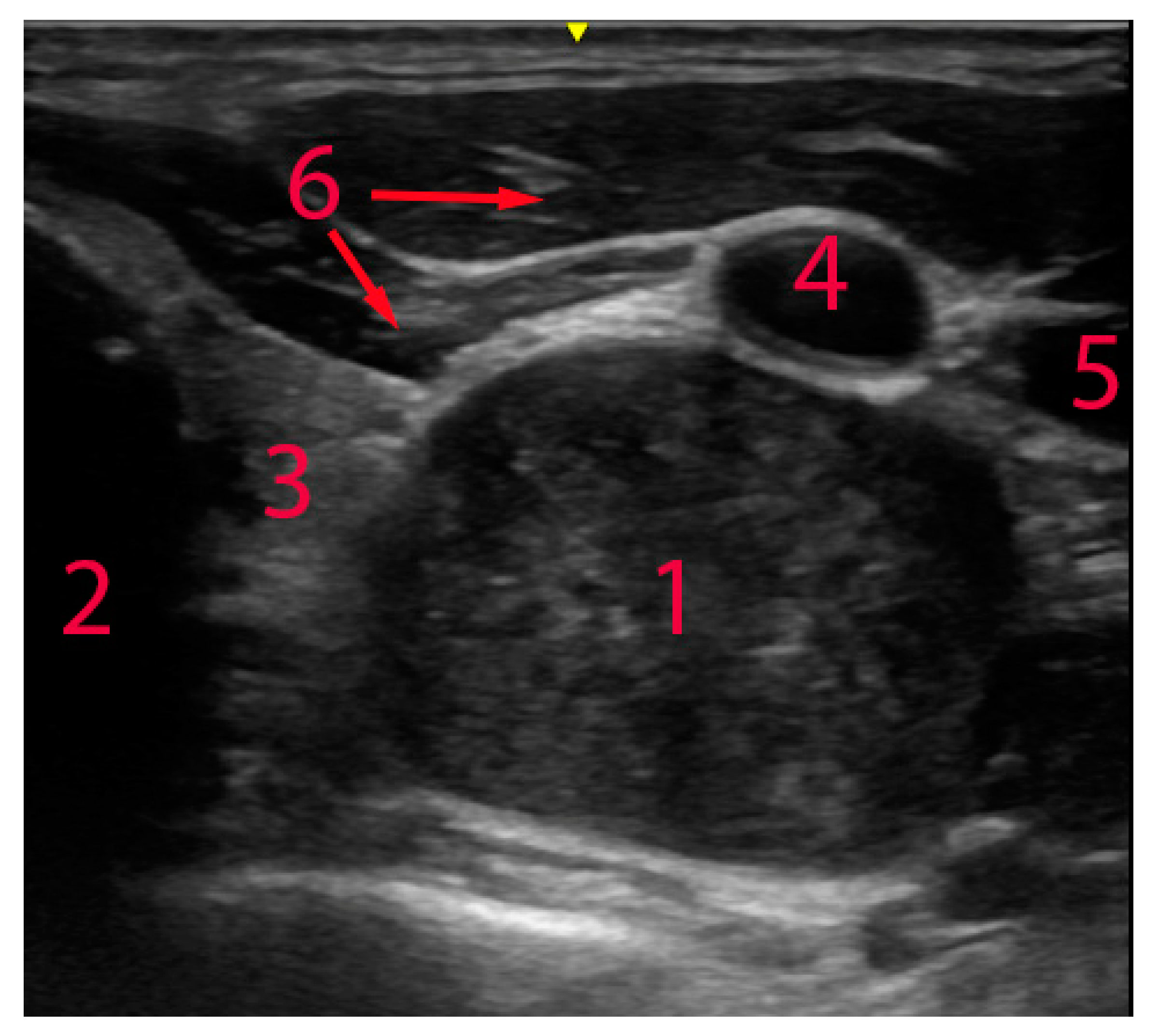 Diagnostics 14 02332 g001 Diagnostics 14 02332 g001