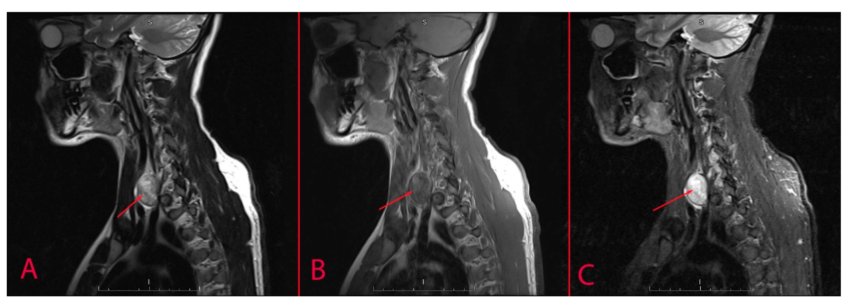 Diagnostics 14 02332 g002 Diagnostics 14 02332 g002